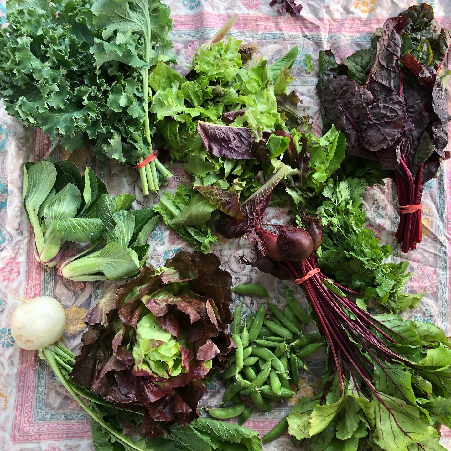 CSA Week 5