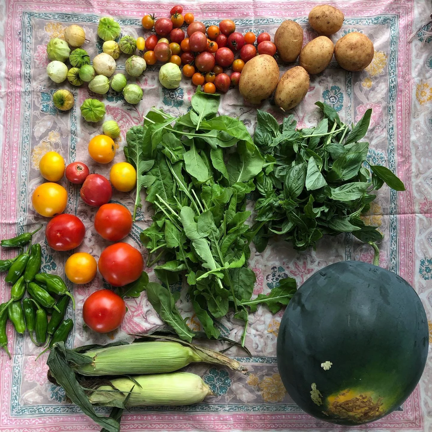 CSA Week 16. Lots of round things.