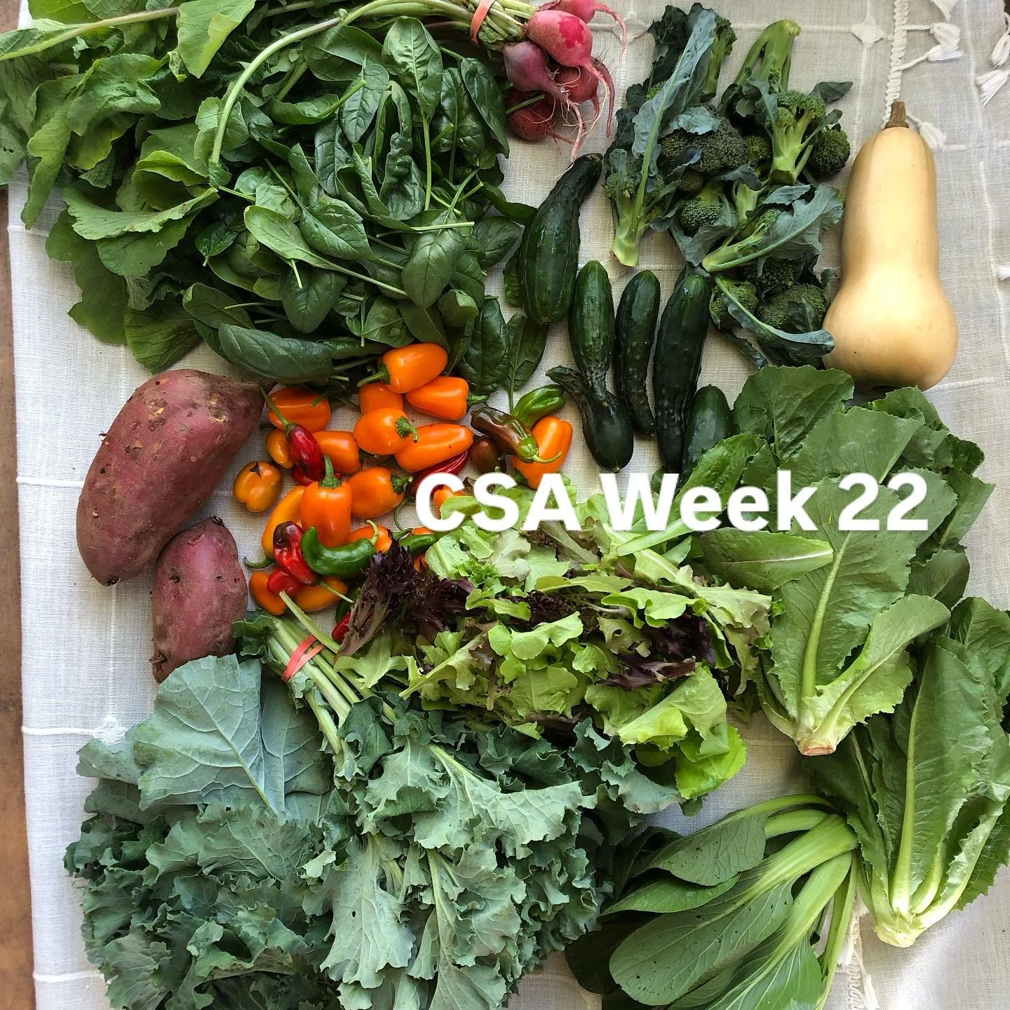 22 weeks of fresh produce!
