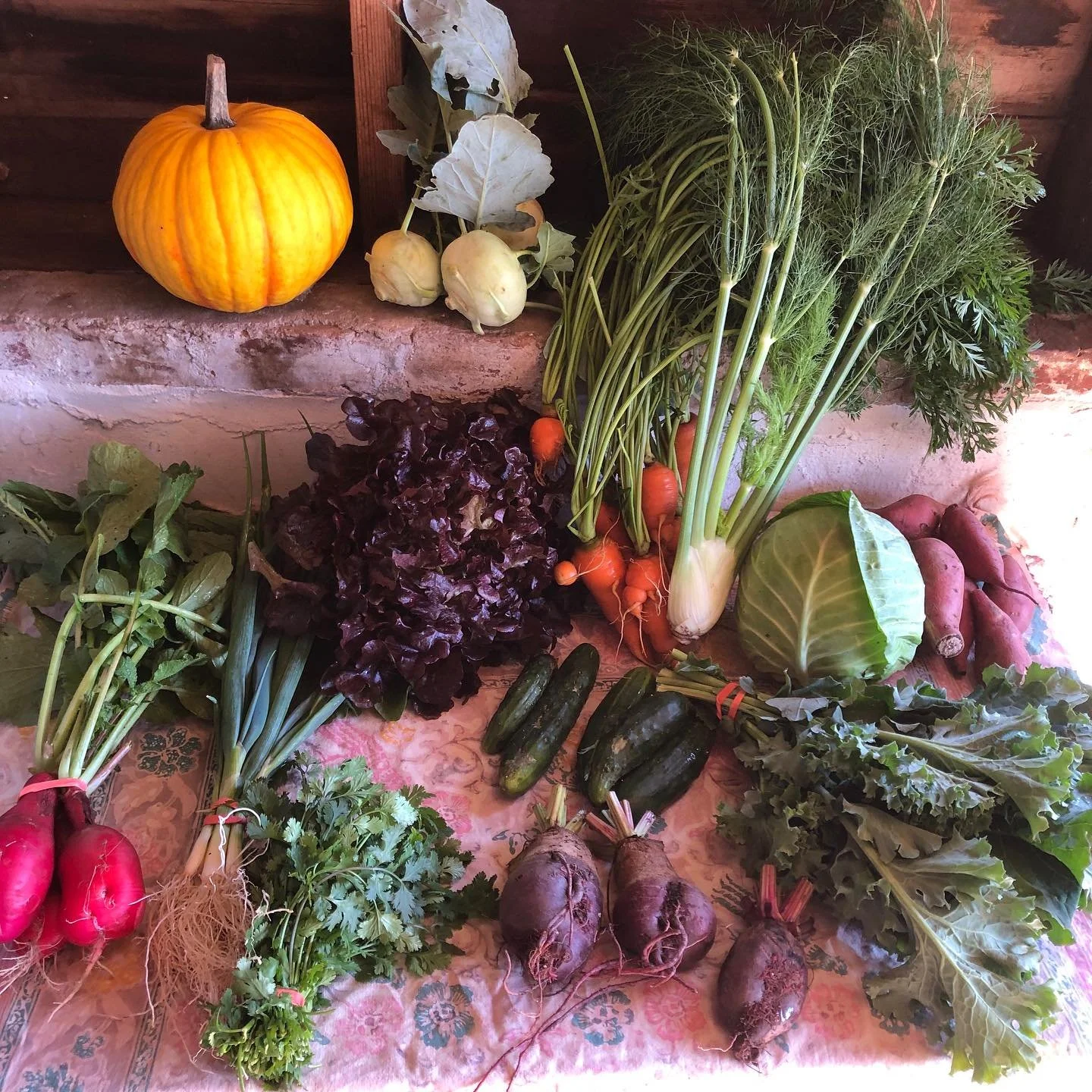 CSA Week 24.  I&rsquo;m not doing this alone. It&rsquo;s takes a community!