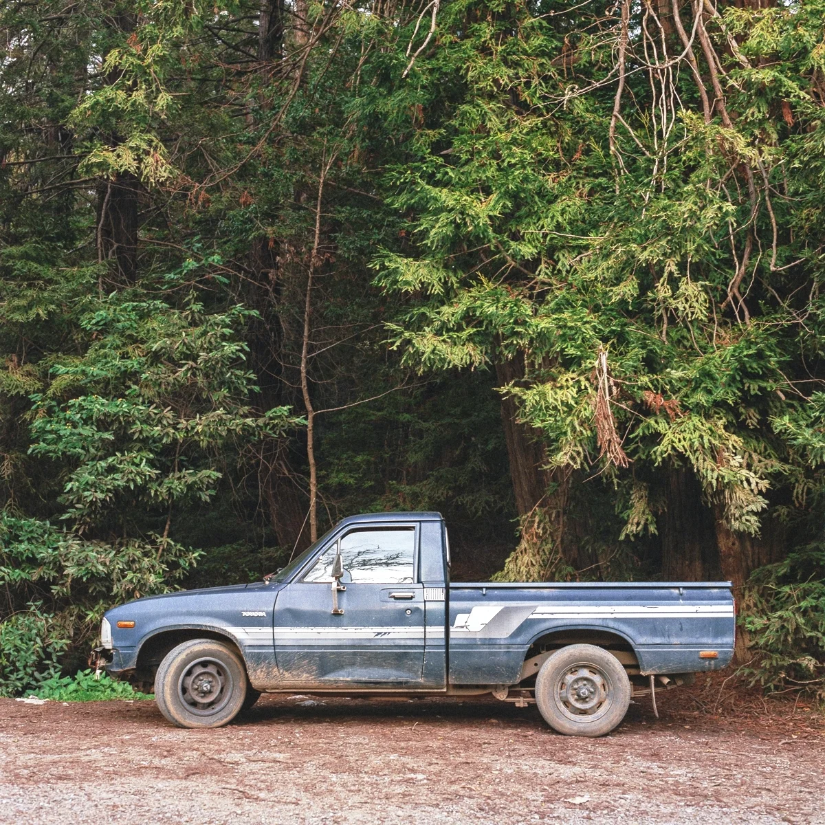 BLUE TRUCK