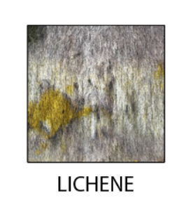 Phisique-du-role-peeling-wall-sweater-Lichen-56-manon-bis.jpg.png