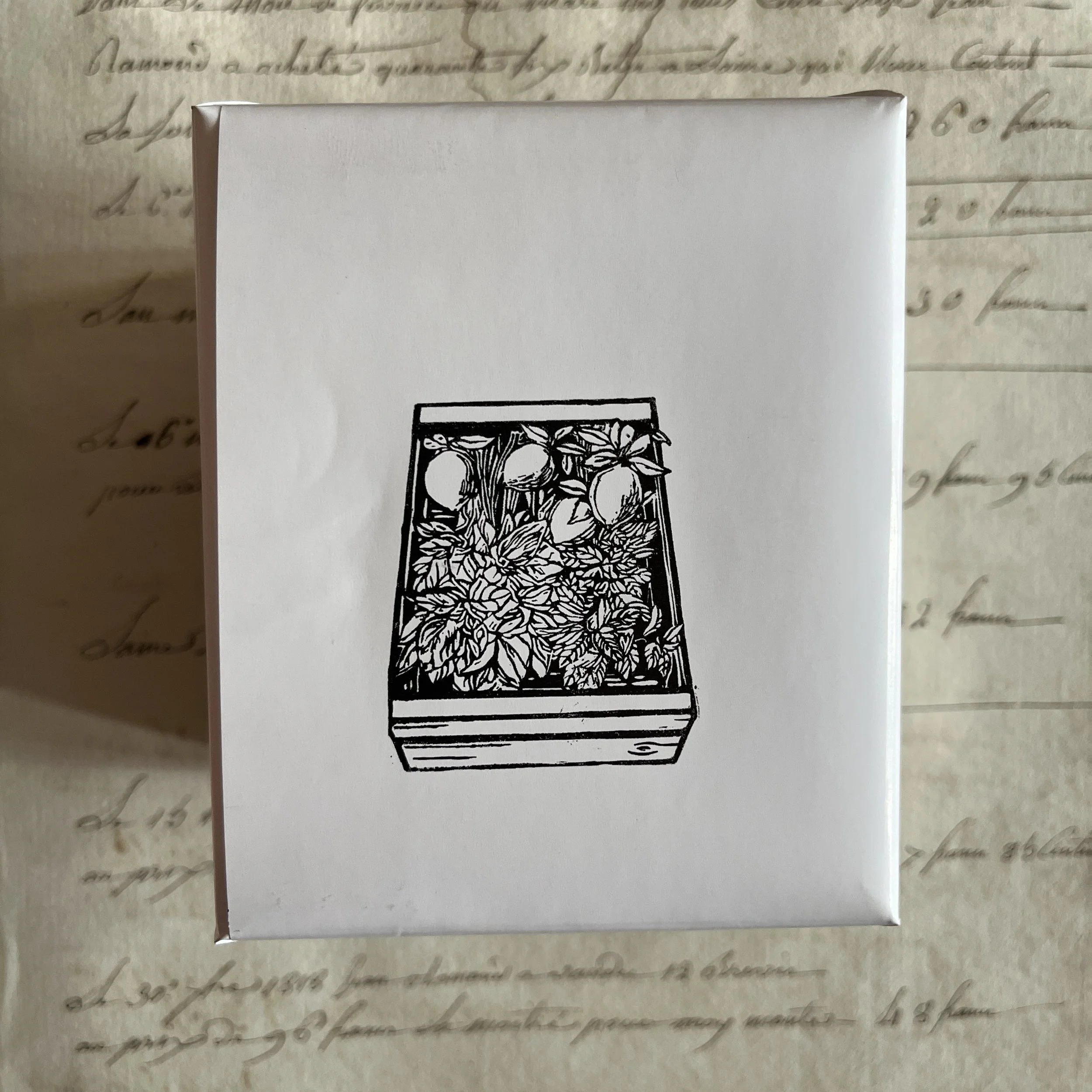 manon bis Mantes la Jolie Candle Astier de Villatte.JPG
