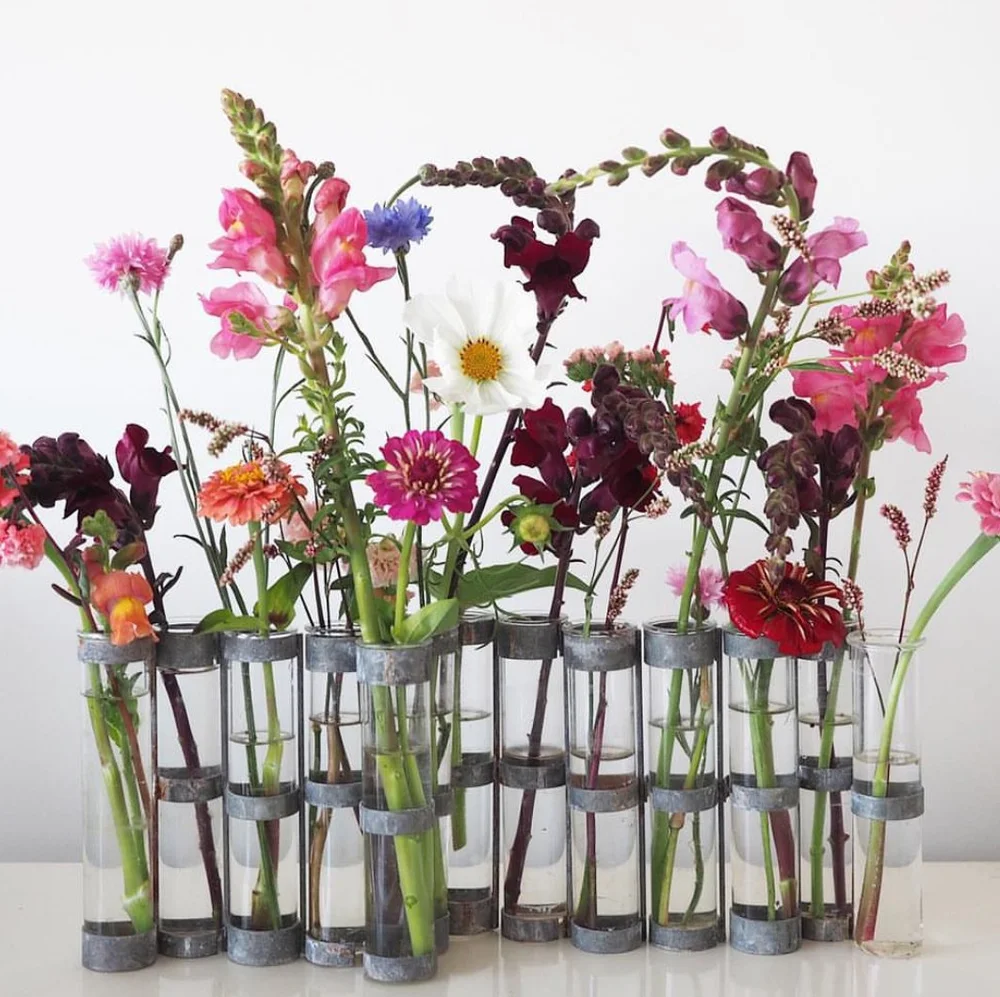 IMG_66A39EA227FF-1.jpeg?format