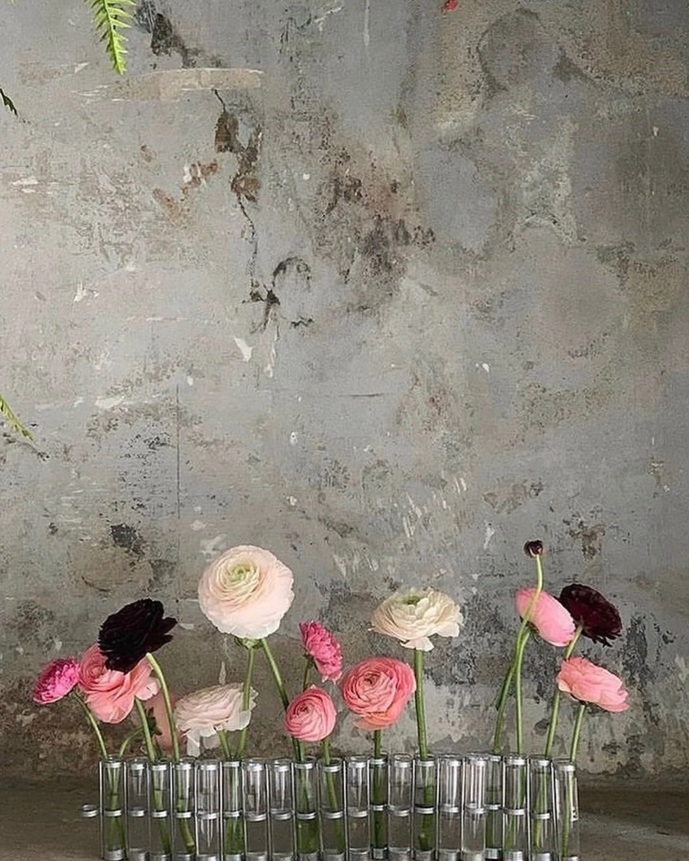 Something special for Christmas🩷

Ts&eacute; &amp; Ts&eacute; 🌸