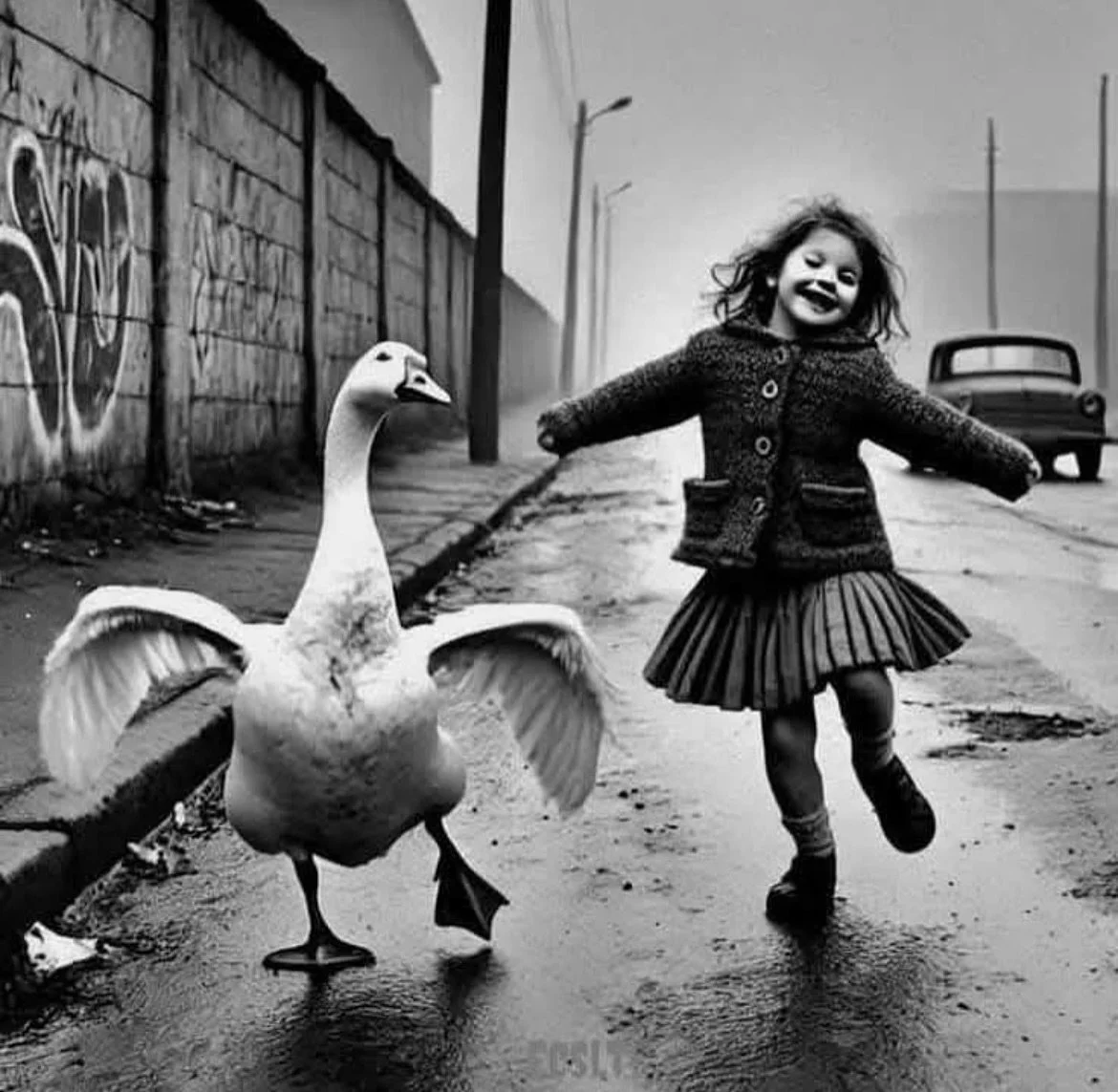 From us to you, our wonderful loyal customers for continuing to support Manon bis and what we do, a huge thankyou 🙏

And to my amazing team for your extraordinary support week after week in a challenging 2025 - I can&rsquo;t thank you enough.

Happy