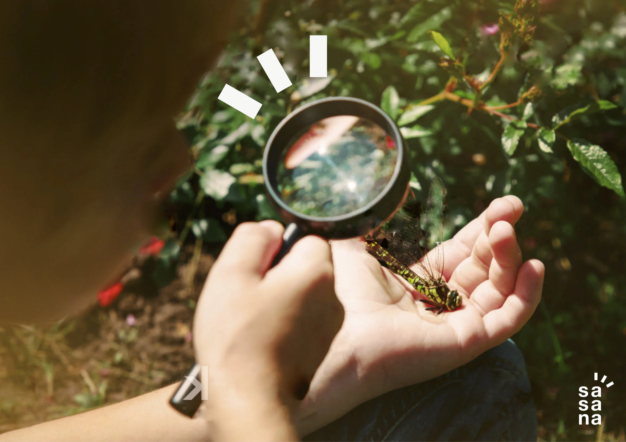 20200720_sasana_presentation_02 7.jpg