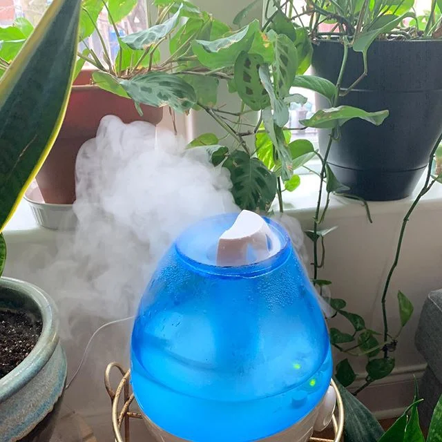 Two nights ago I had a dream that I had a very weird IUD situation and my mom and high school best friend were there ouchie