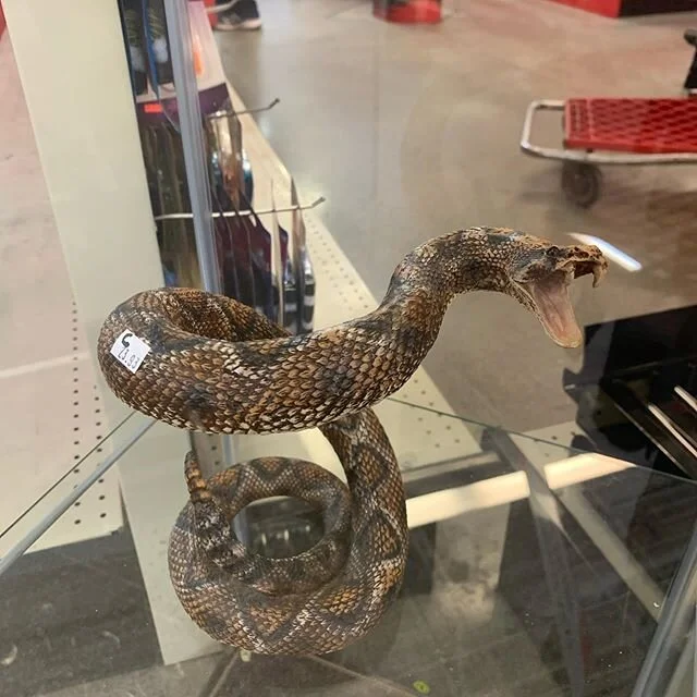 Last night I dreamed that T showed me a secret room in our house. It was huge and furnished and had like a vintage diner table and chairs or maybe it was a juke box. It was so weird to not know about it until then and I was excited to maybe turn part