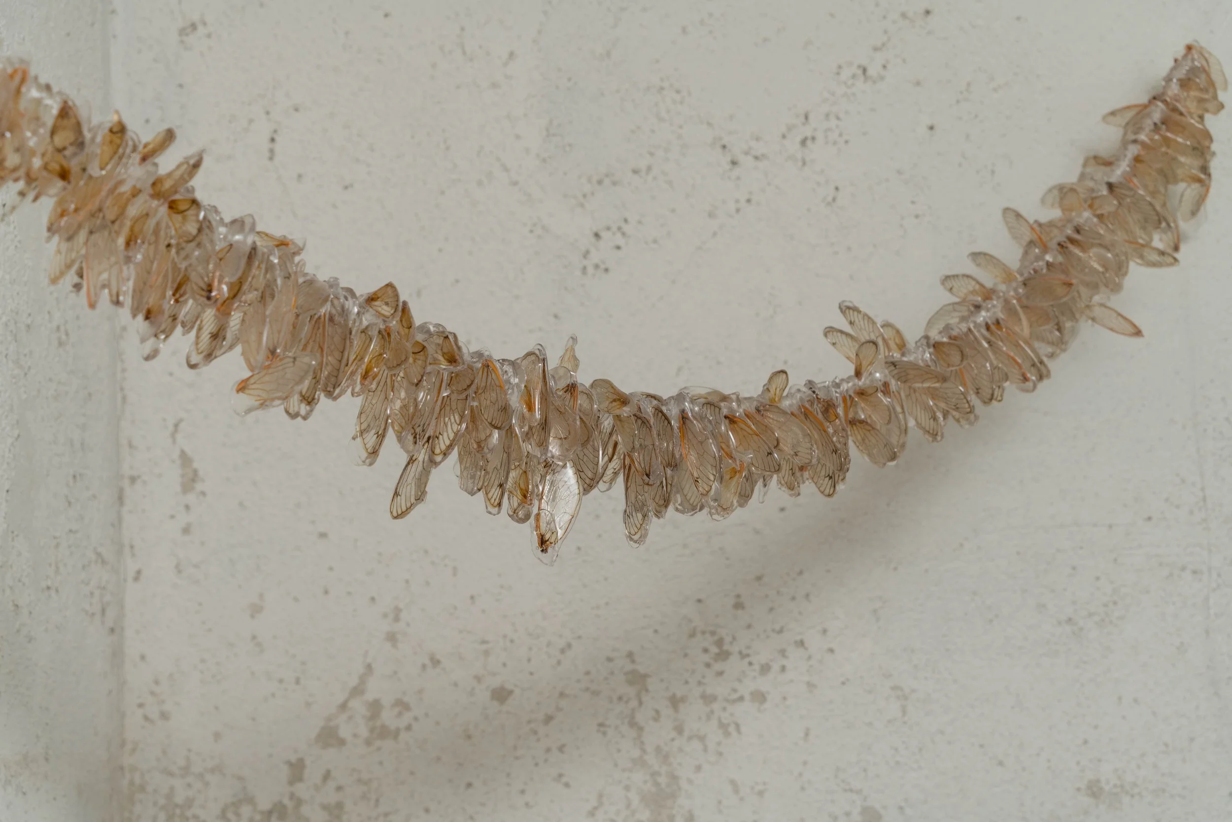  Midnight, a two person show with Eli Greene at the First Presbyterian Church in Chicago. All photos by Robert Chase Heishman for Bob. 