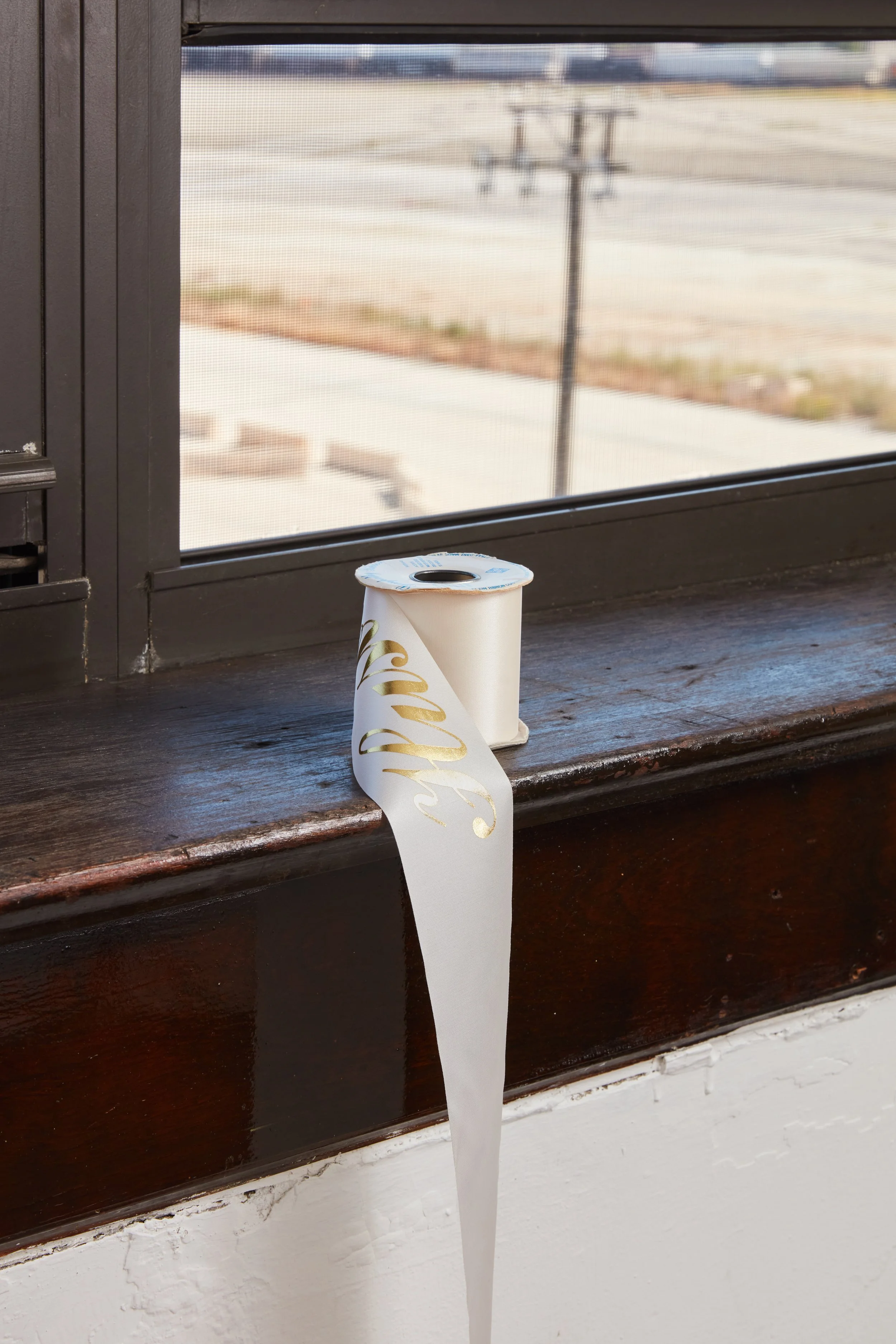  Sympathy Ribbon, a two person show with Madeline Gallucci at Grunts Rare Books, Chicago. Photos by Ian Ace.  