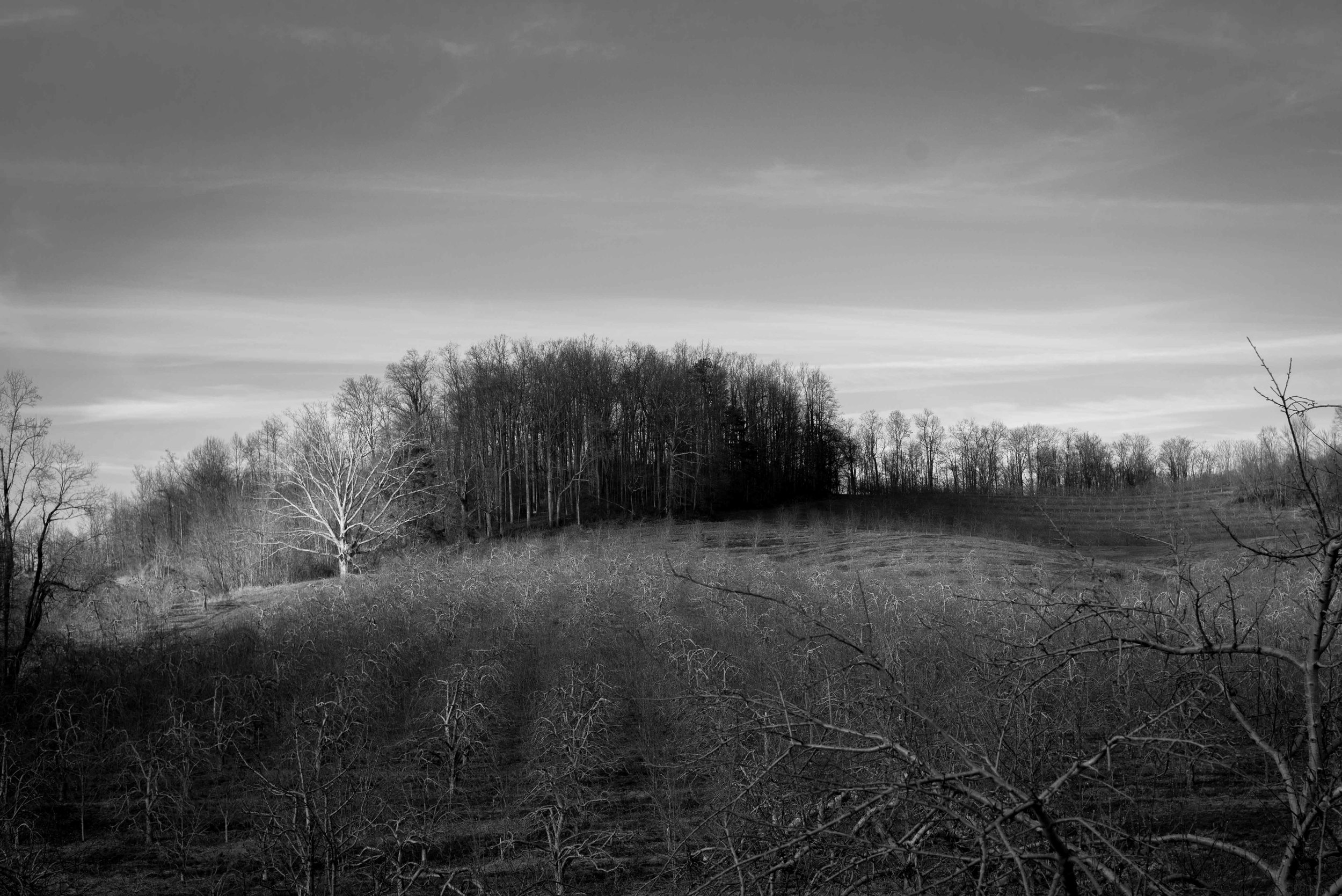 DSC_5275.jpg