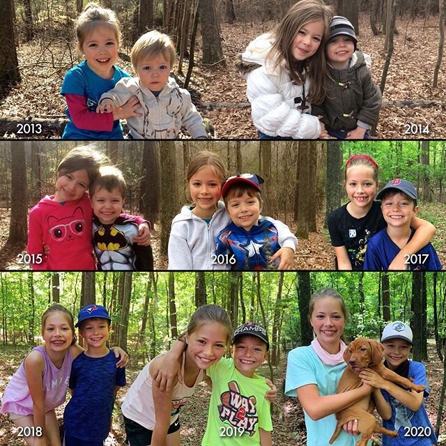 And on it goes. 8 years in a blink. The old picture stump isn&rsquo;t much of a stump anymore, nor are these little kids so little anymore. #archieblue