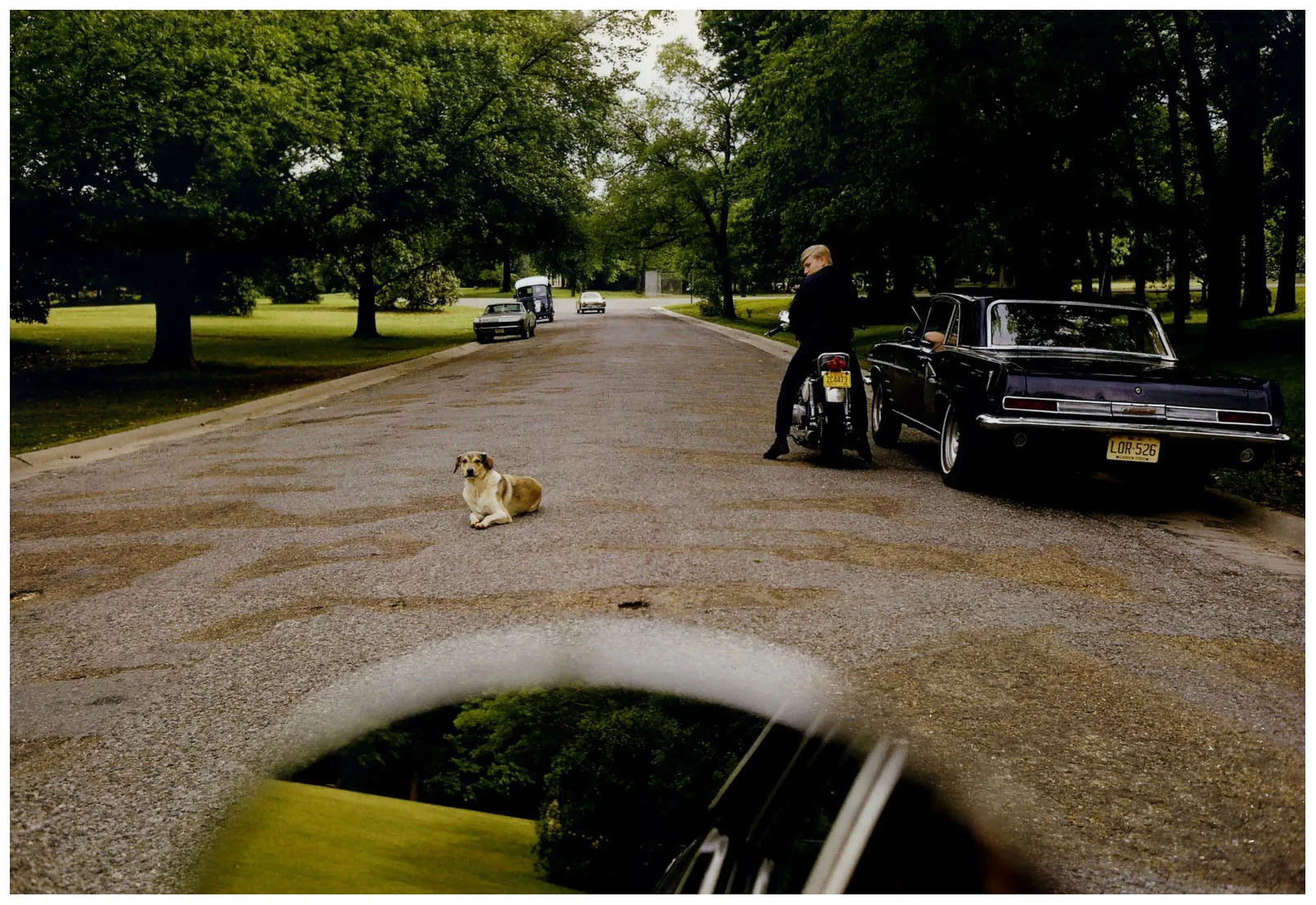 chrome-william-eggleston-steidl-2011-b.jpg