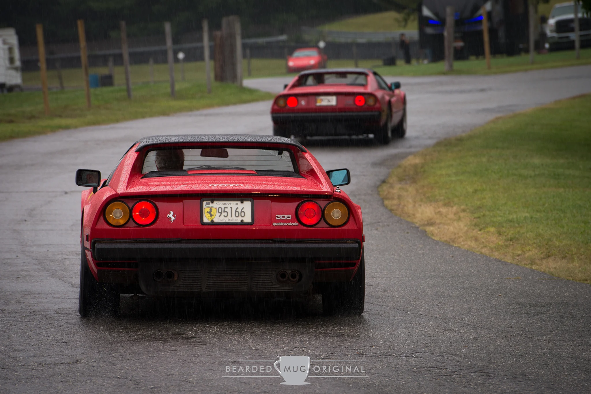 A pair of prancing horses in the rain.