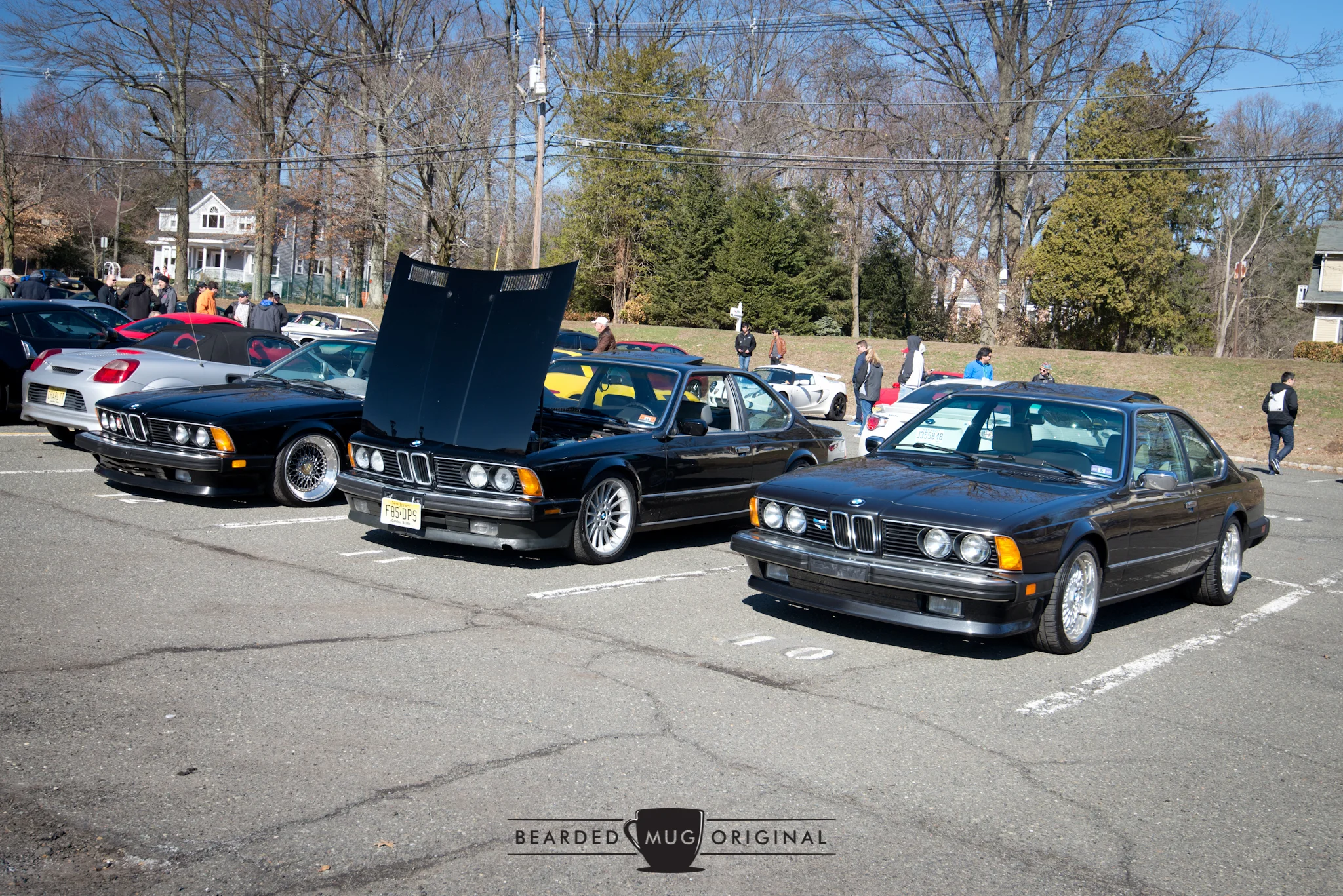 DSC_1264.jpg