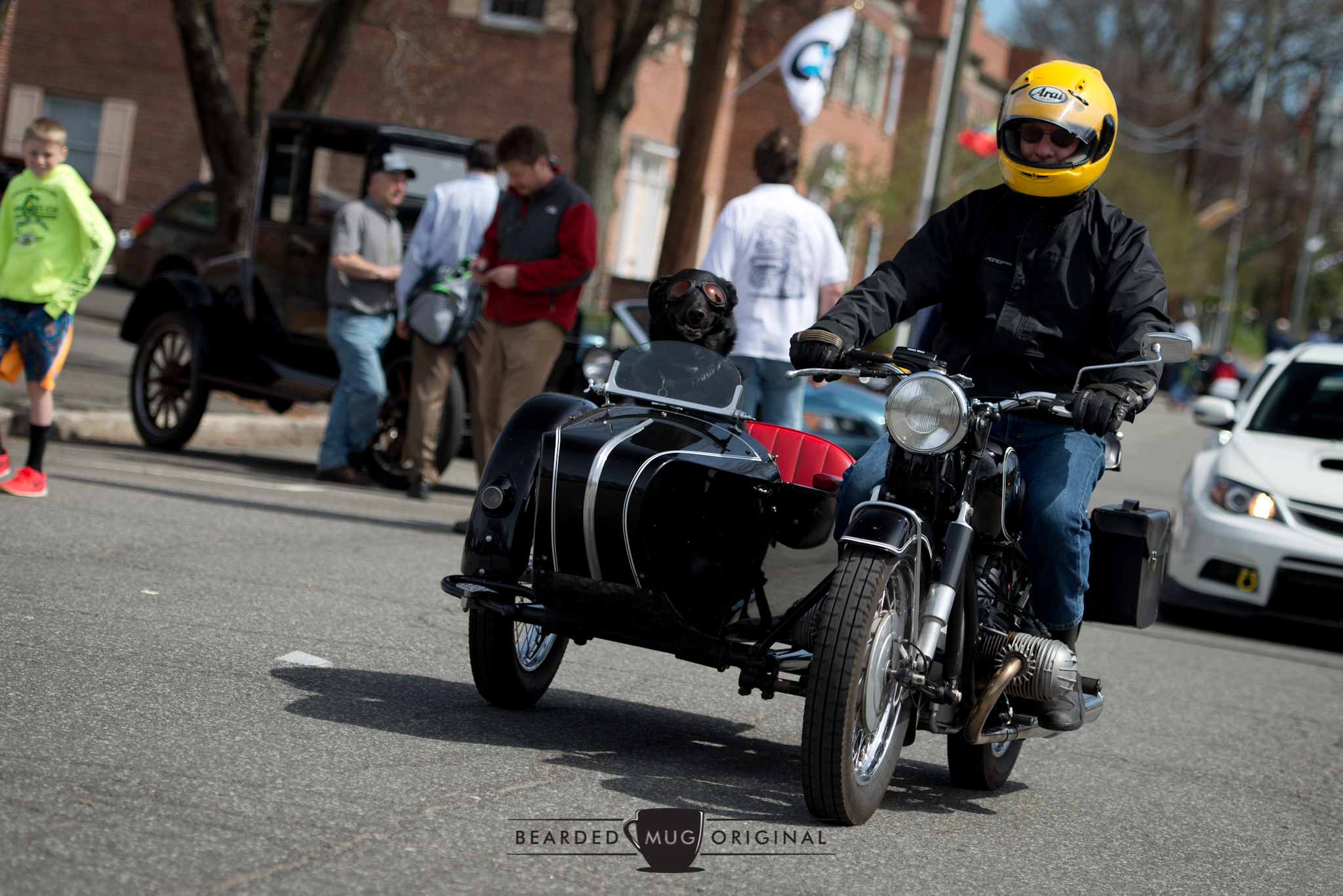 As happy as a...dog in a sidecar.
