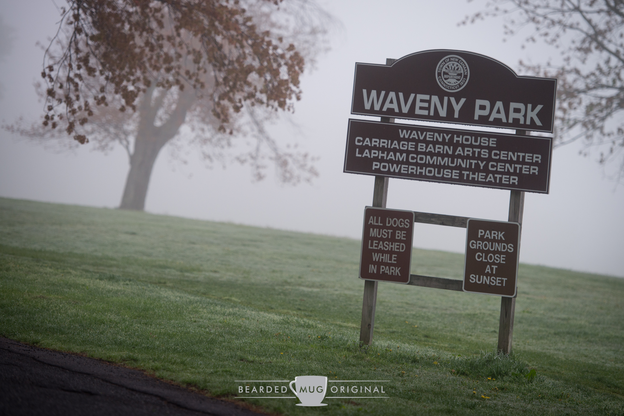 If I had to choose one weather condition to shoot in, it would certainly be fog.