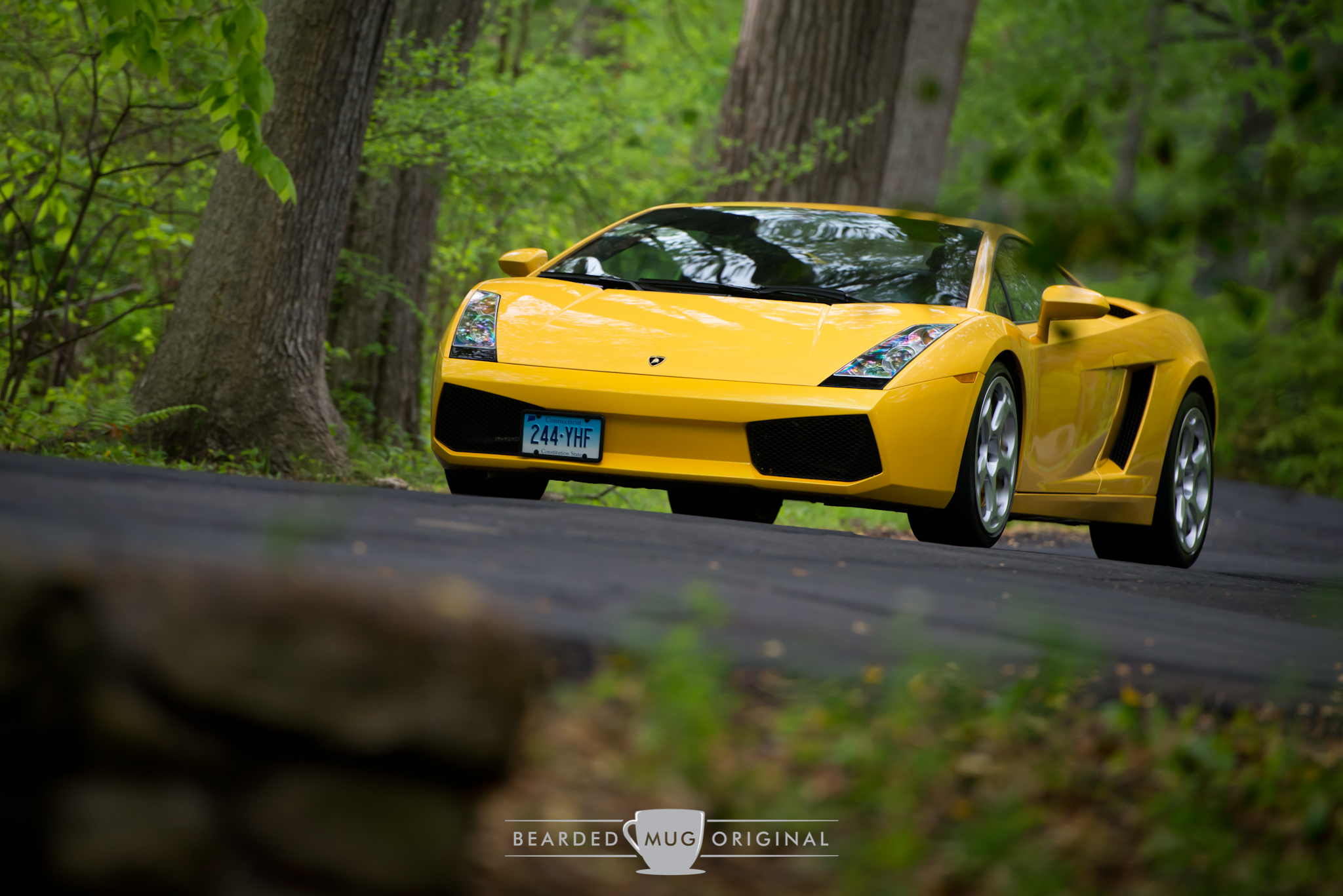 Crouching Lambo, hidden photographer.