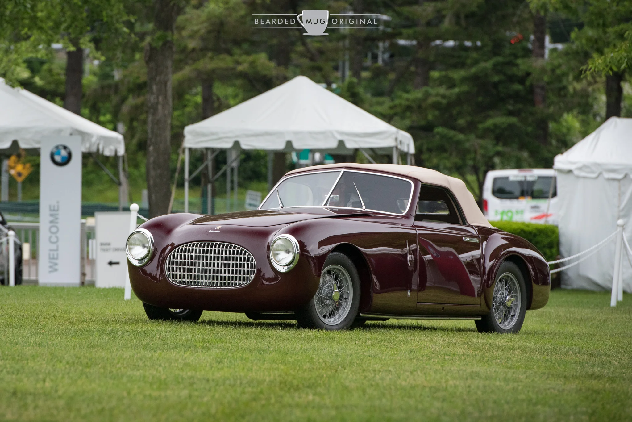 DSC_5286.jpg