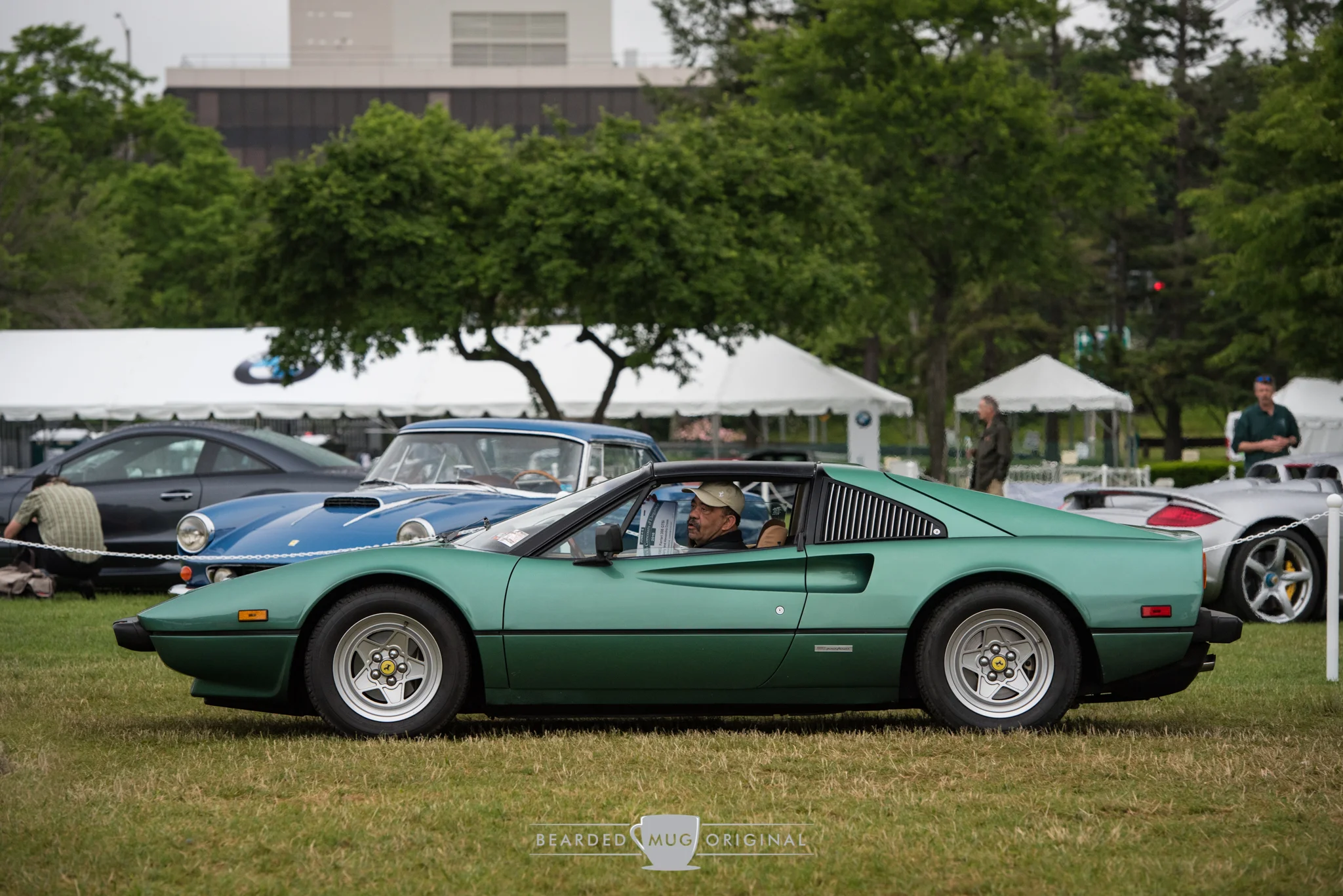 DSC_5305.jpg