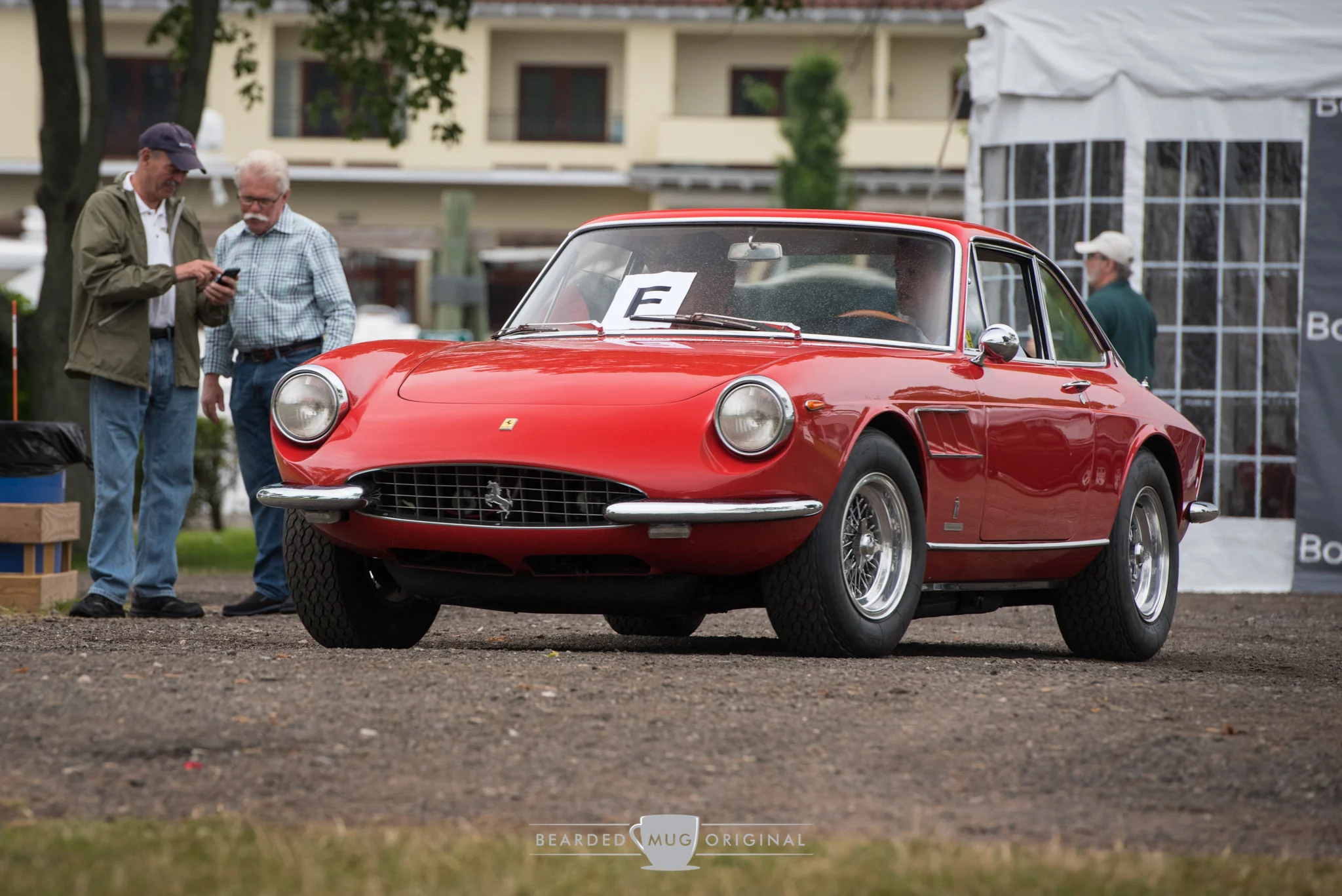 DSC_5375.jpg