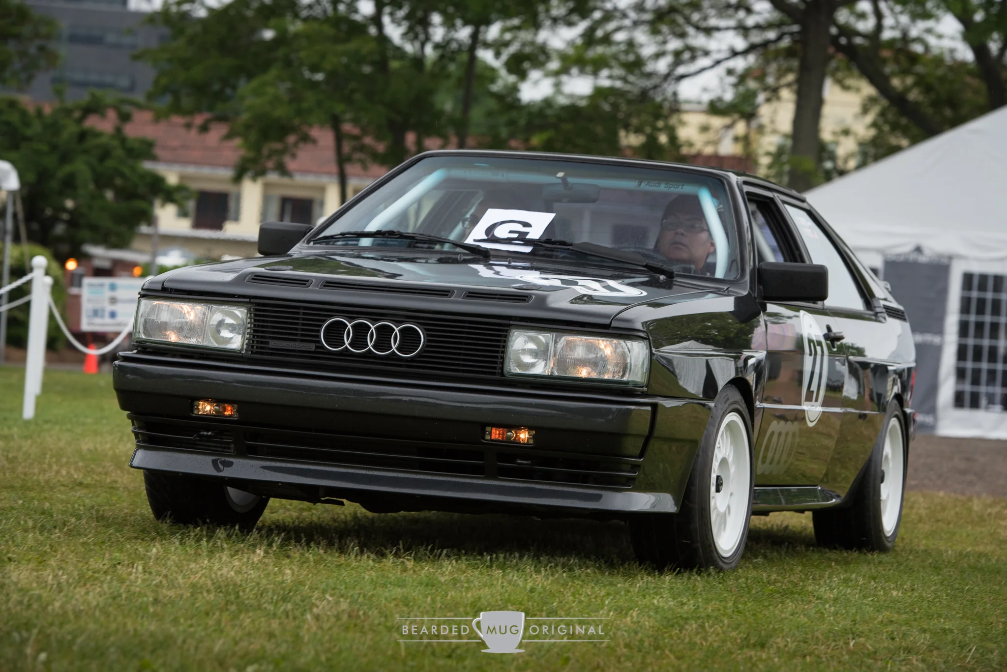 DSC_5386.jpg