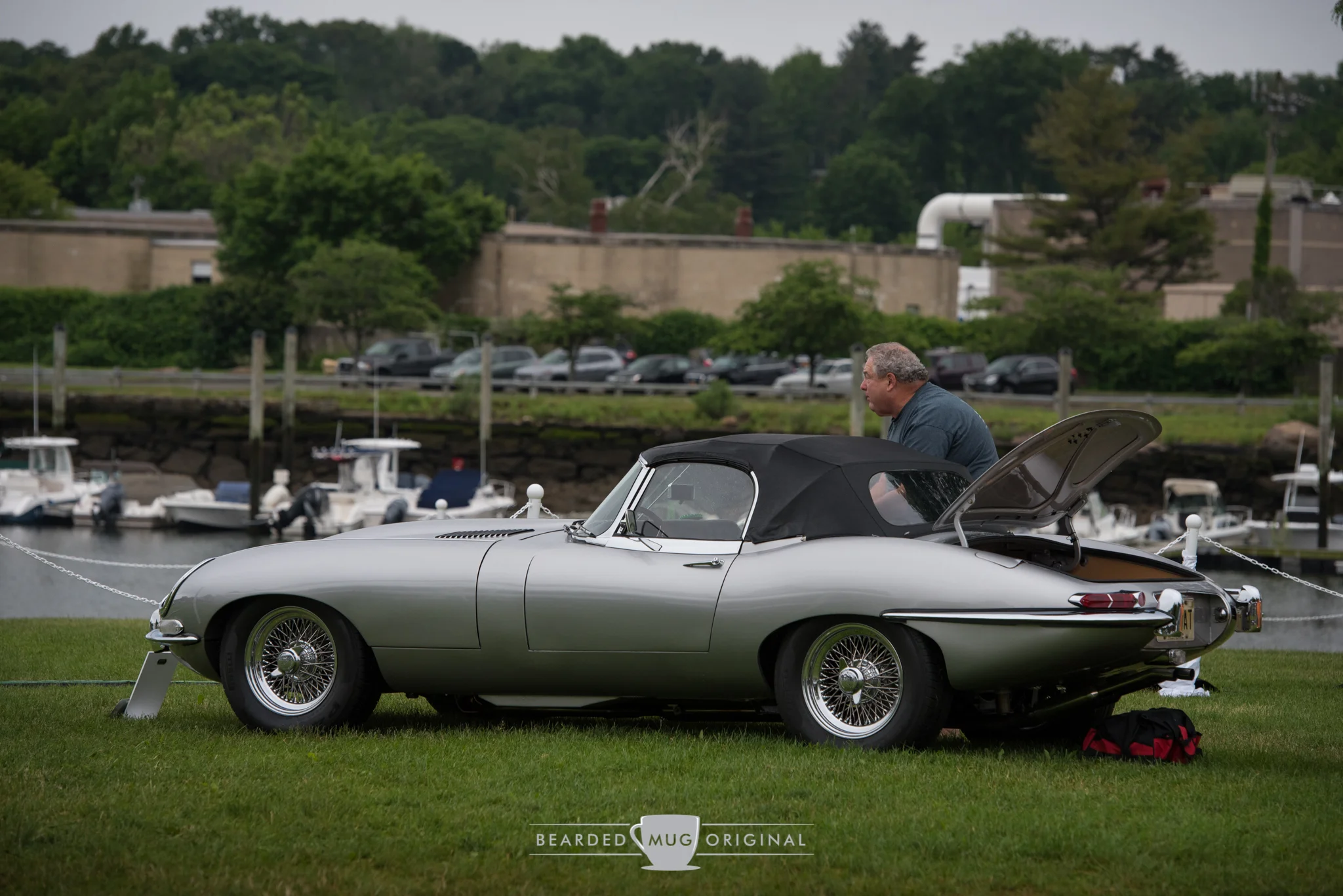 DSC_5396.jpg