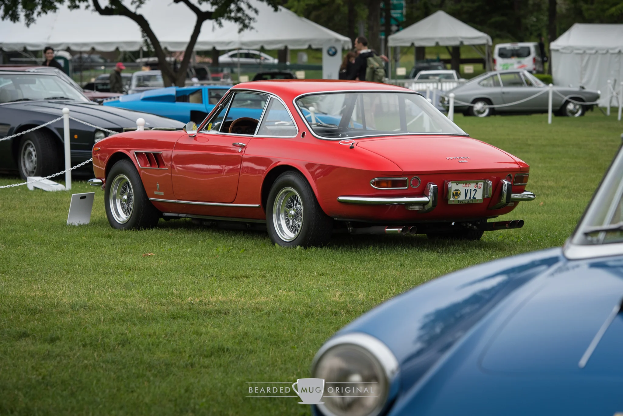 DSC_5474.jpg