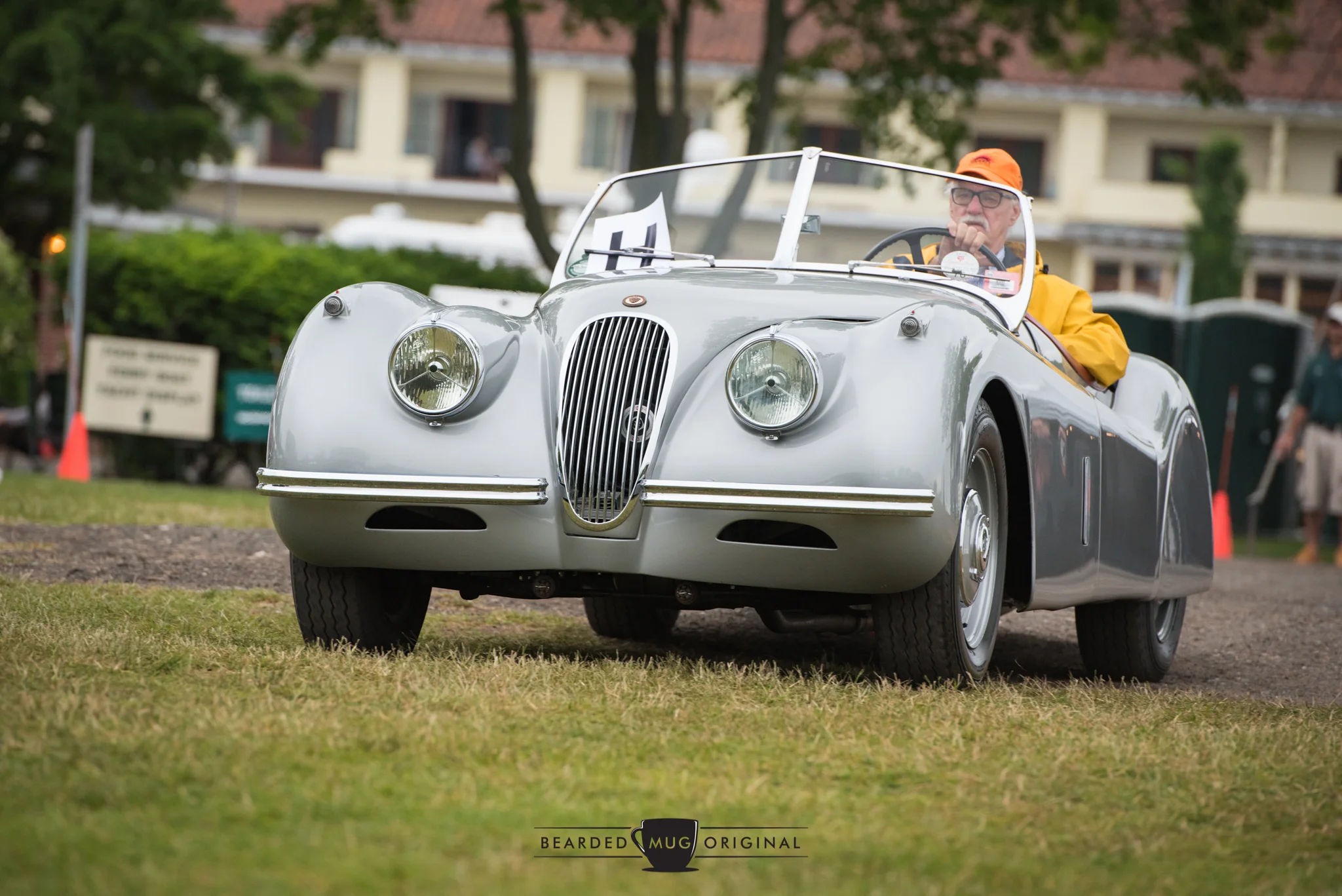 DSC_5675.jpg