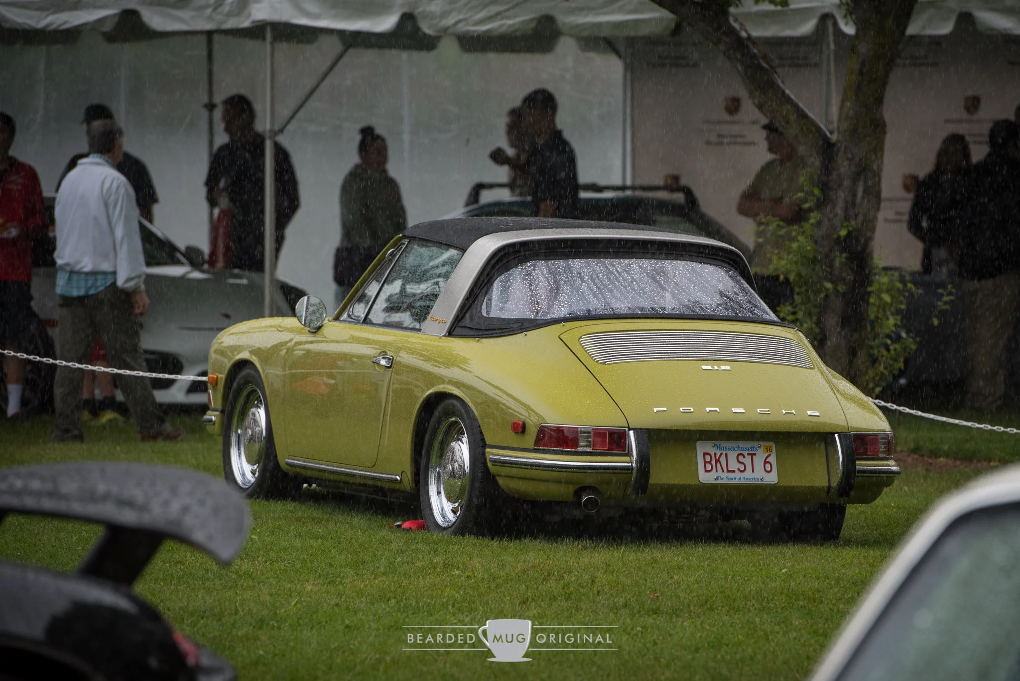 DSC_6328.jpg