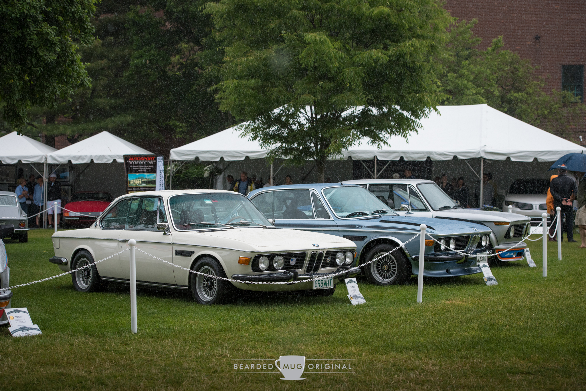 DSC_6329.jpg