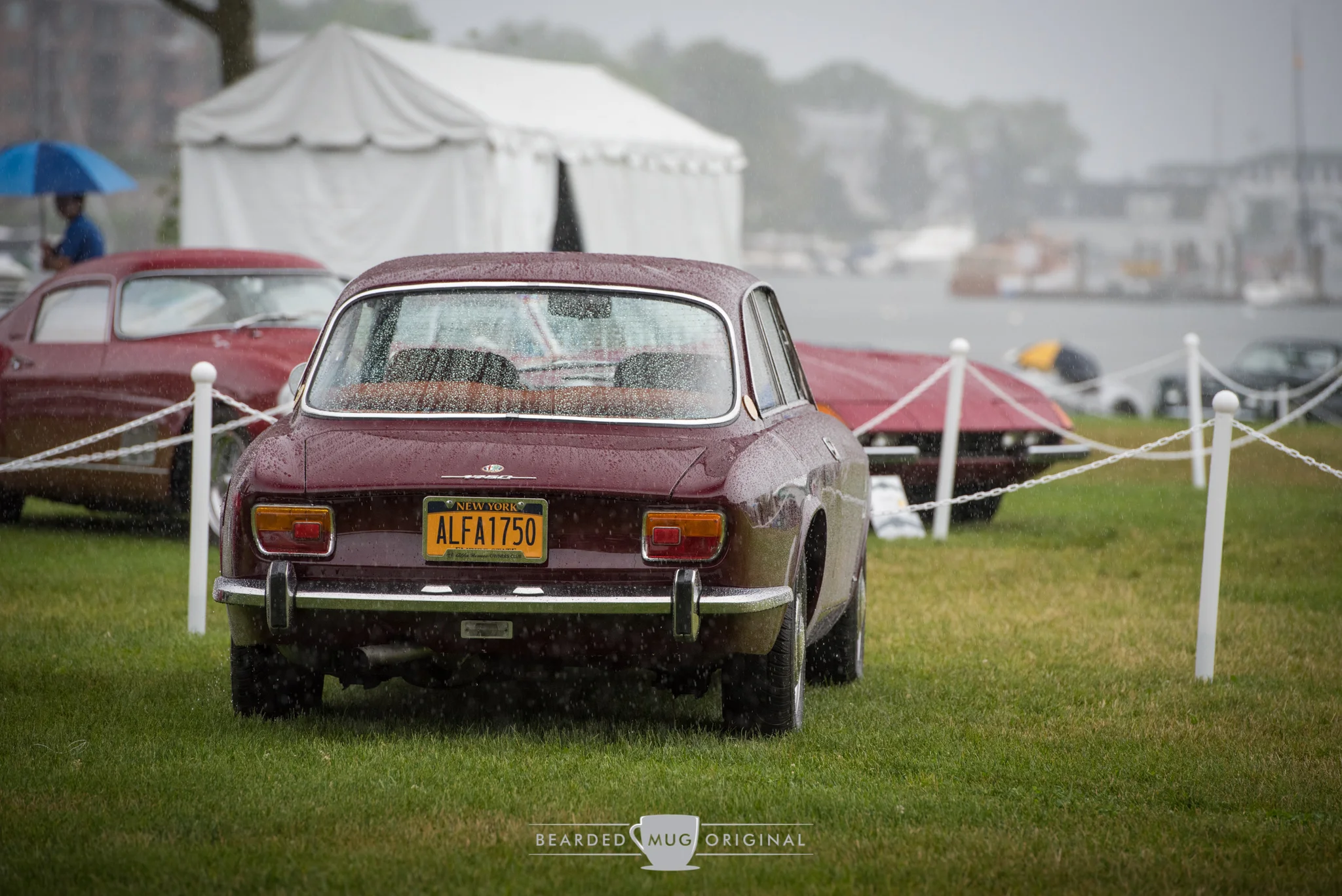 DSC_6332.jpg