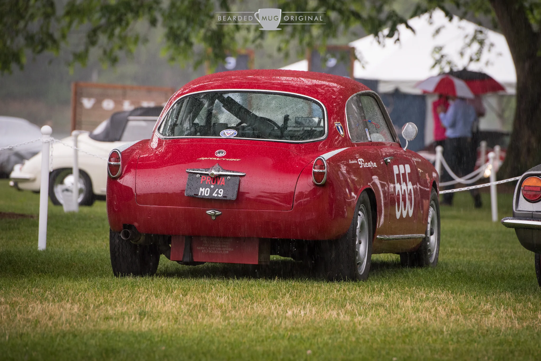 DSC_6392.jpg