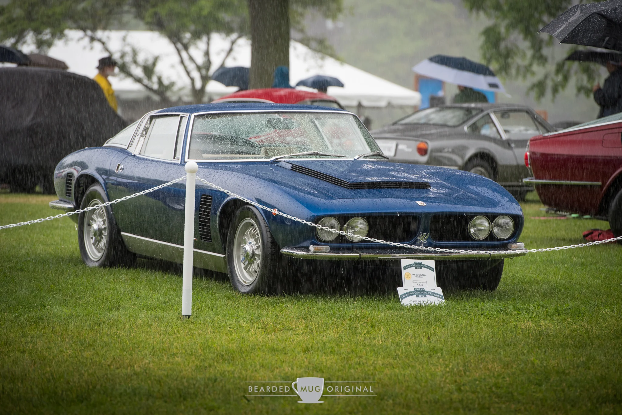 DSC_6398.jpg
