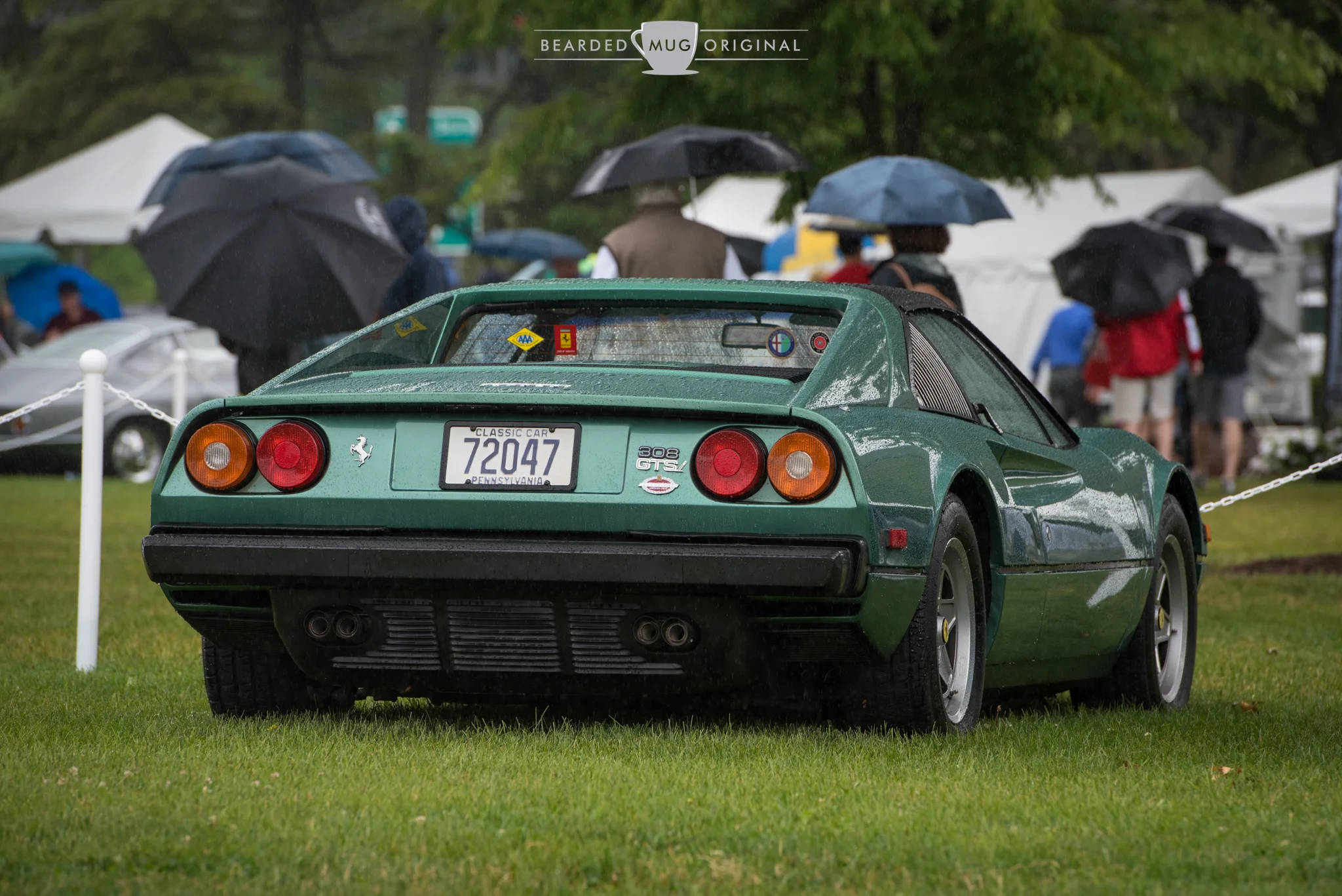 DSC_6429.jpg