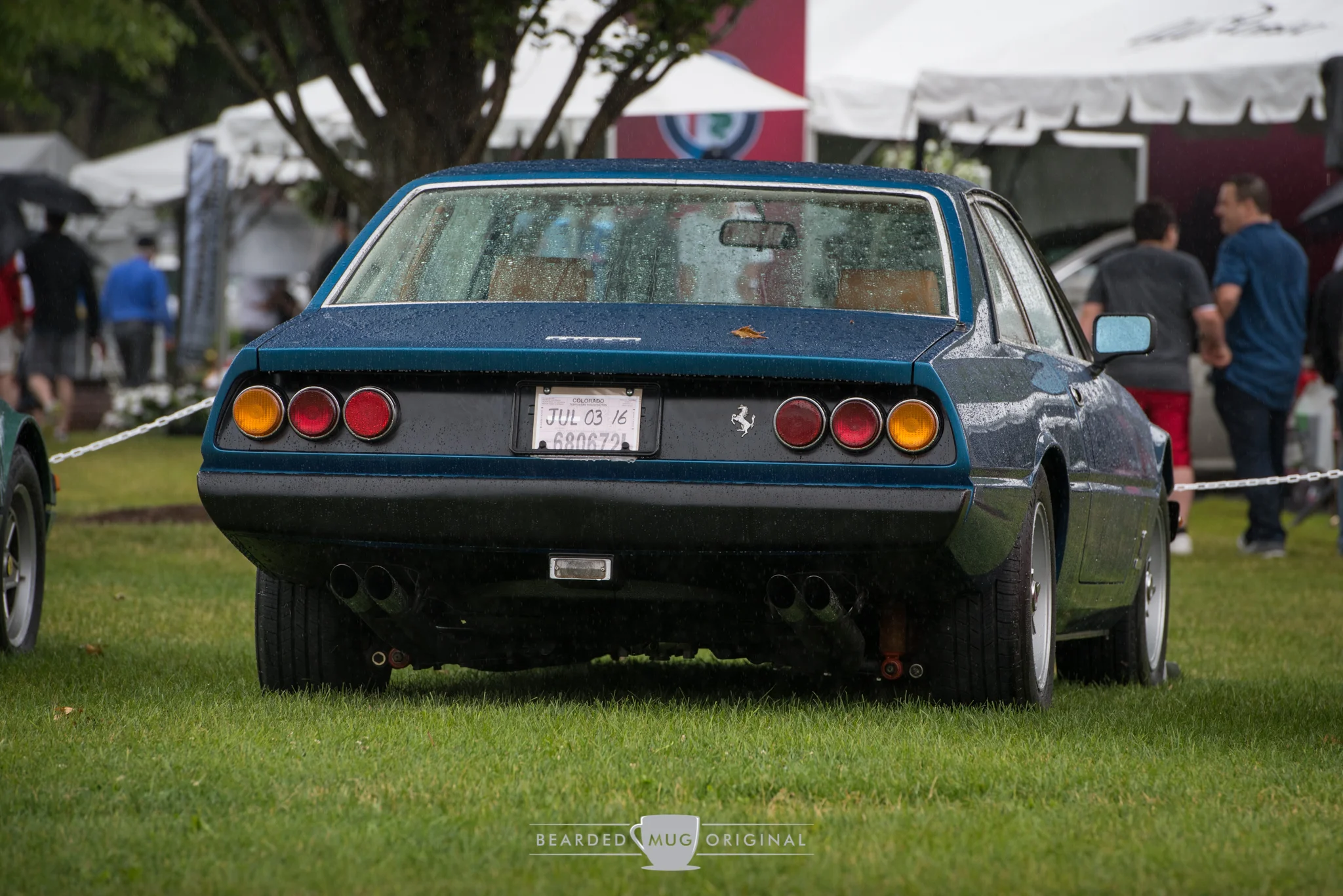 DSC_6430.jpg