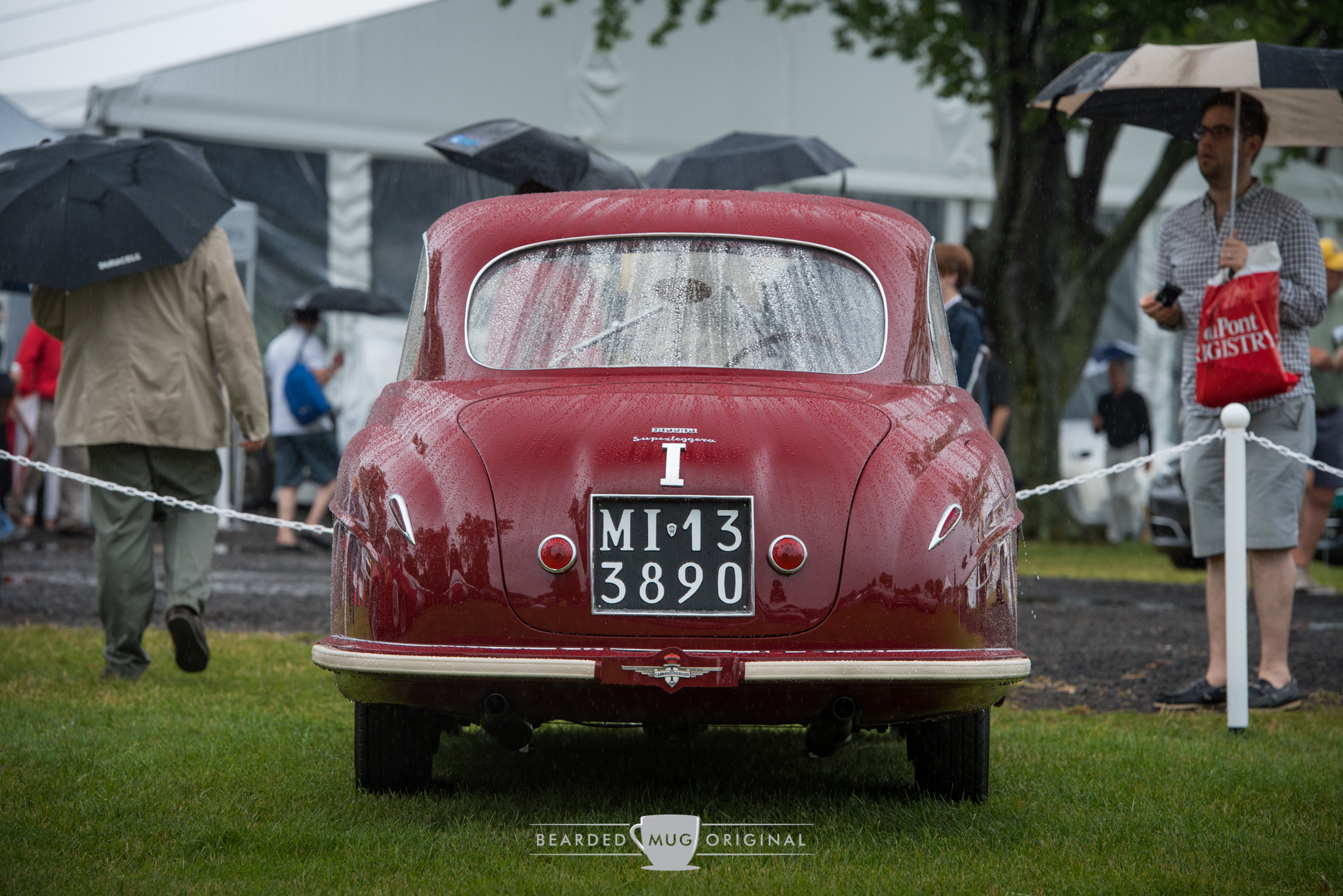 DSC_6448.jpg