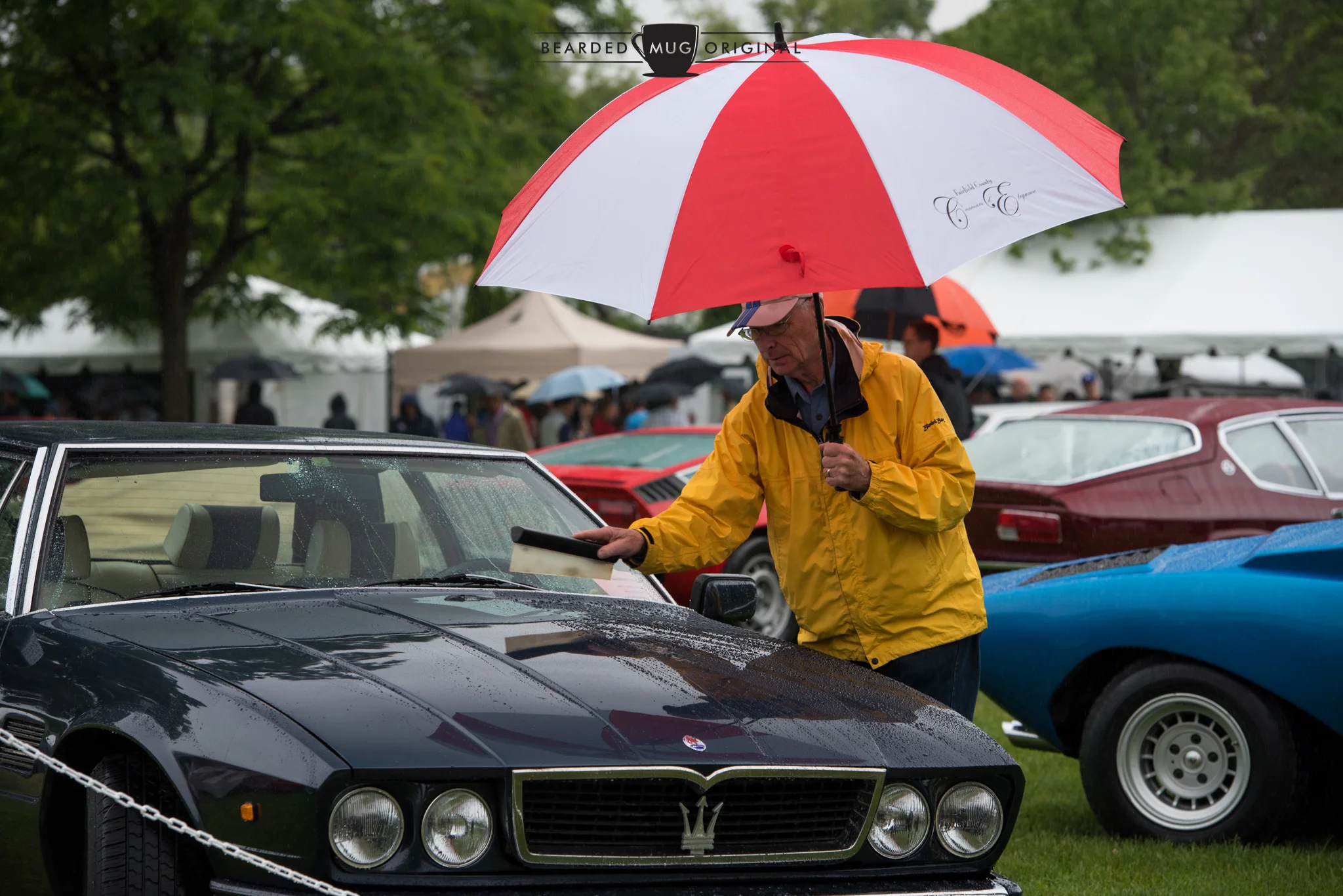 DSC_6454.jpg