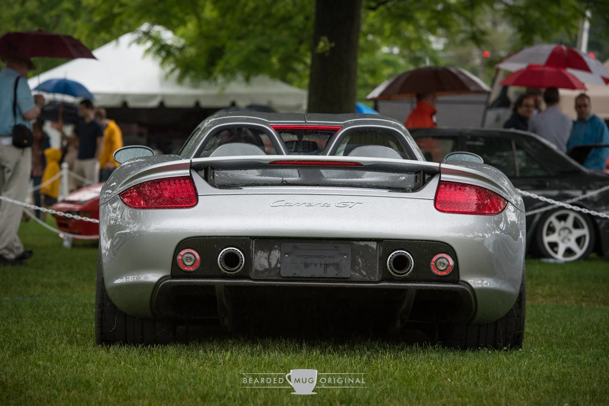 DSC_6463.jpg