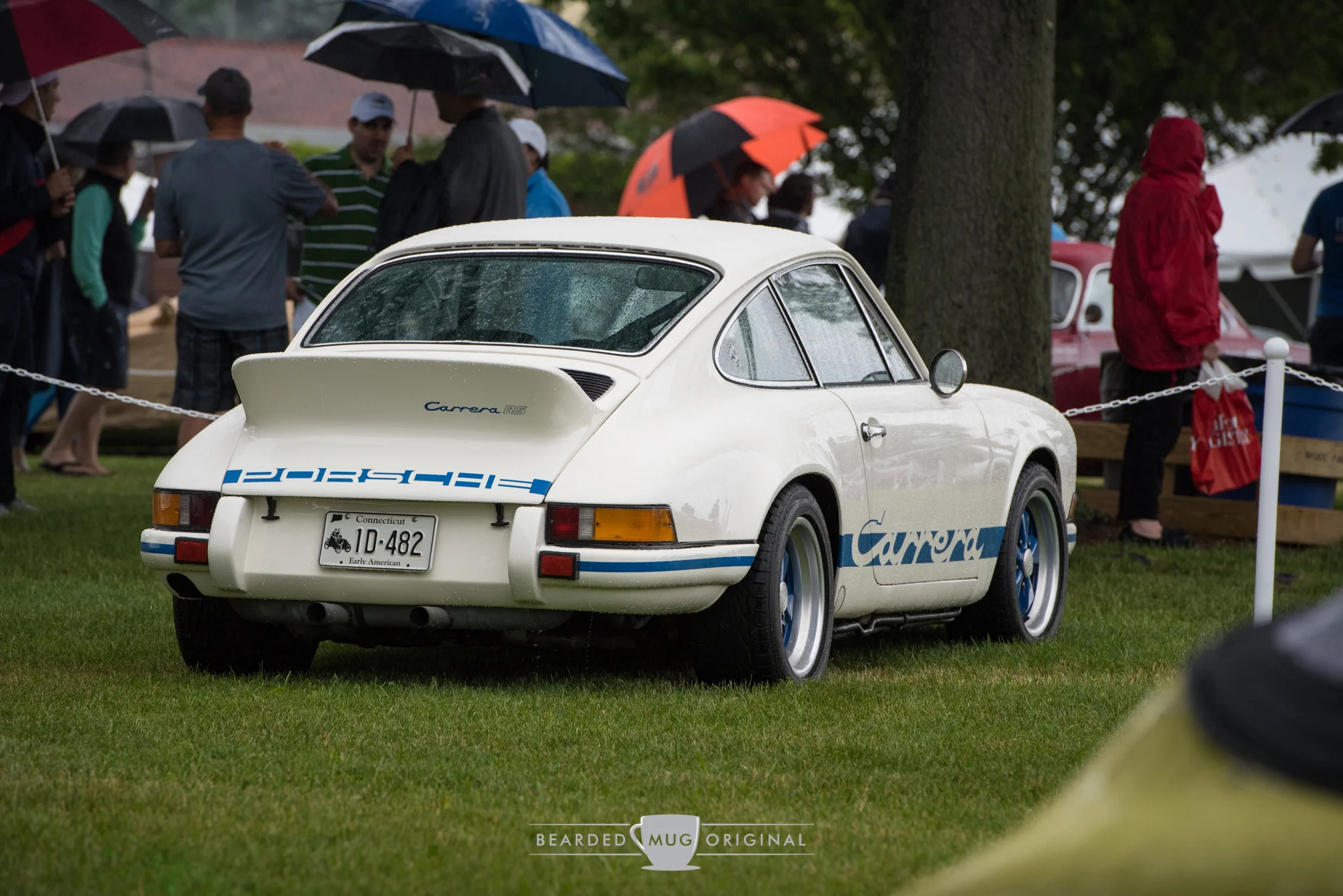 DSC_6486.jpg