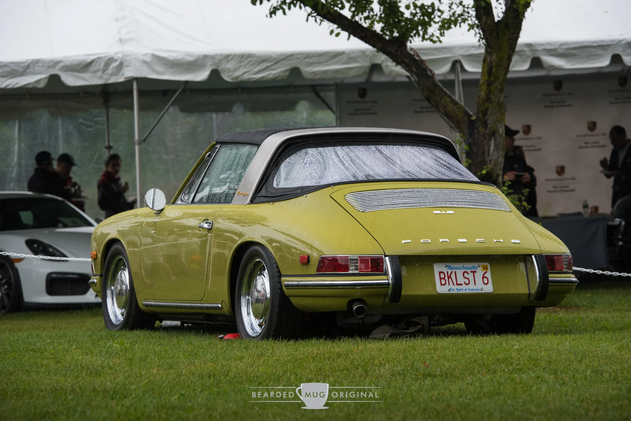DSC_6492.jpg