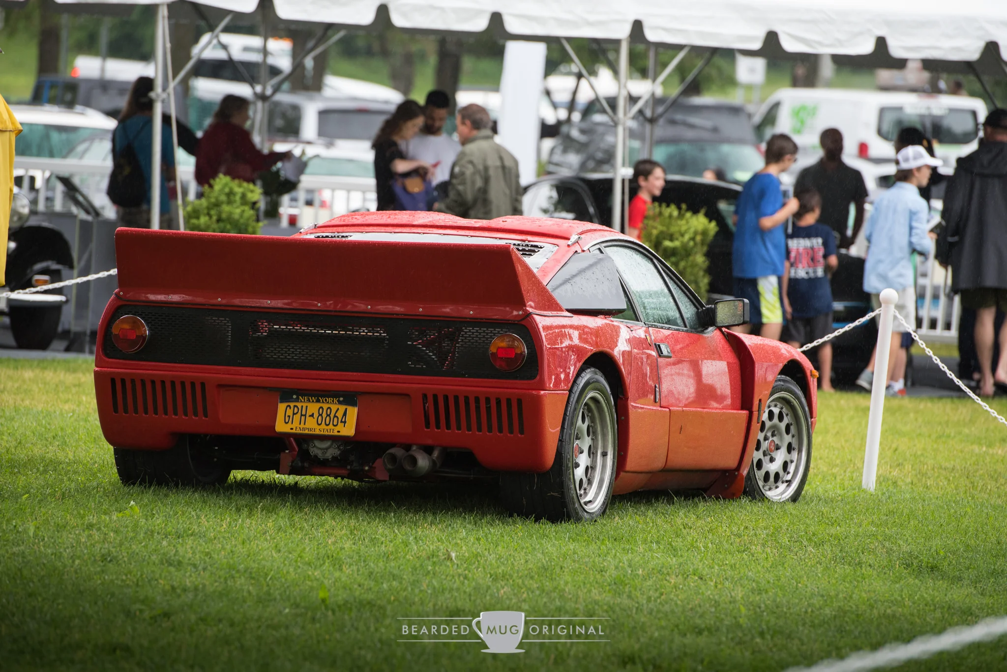 DSC_6493.jpg