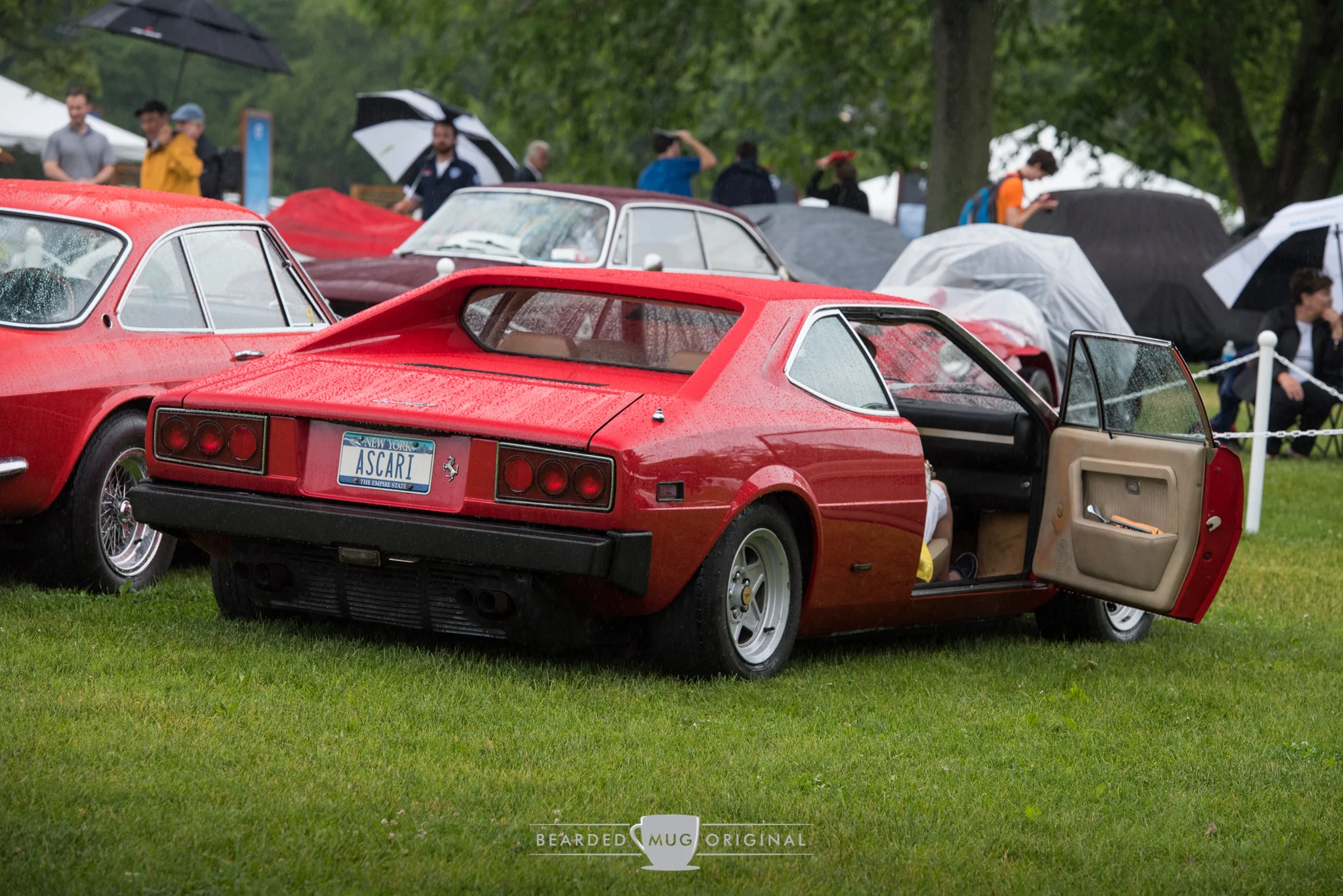 DSC_6502.jpg