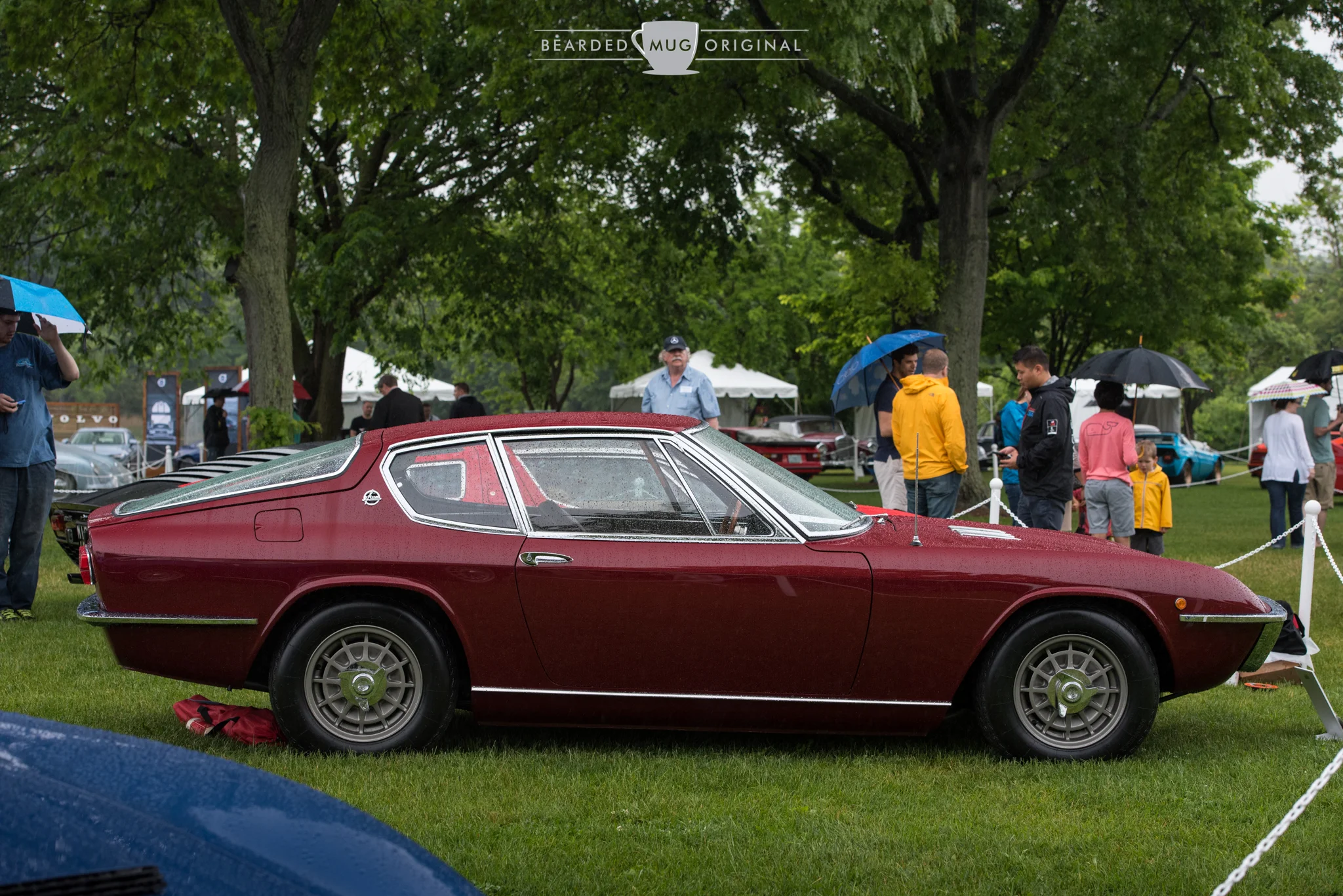 DSC_6504.jpg