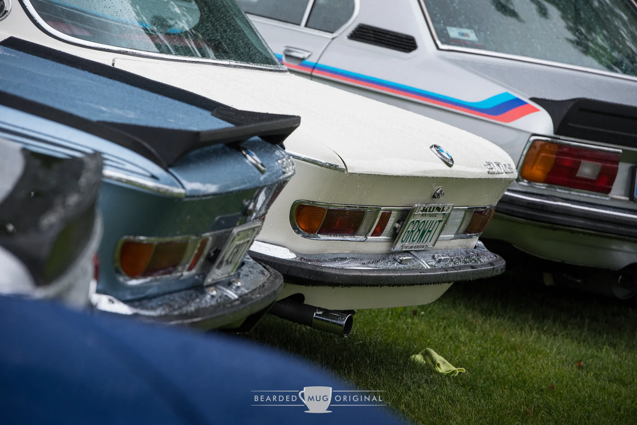 DSC_6506.jpg