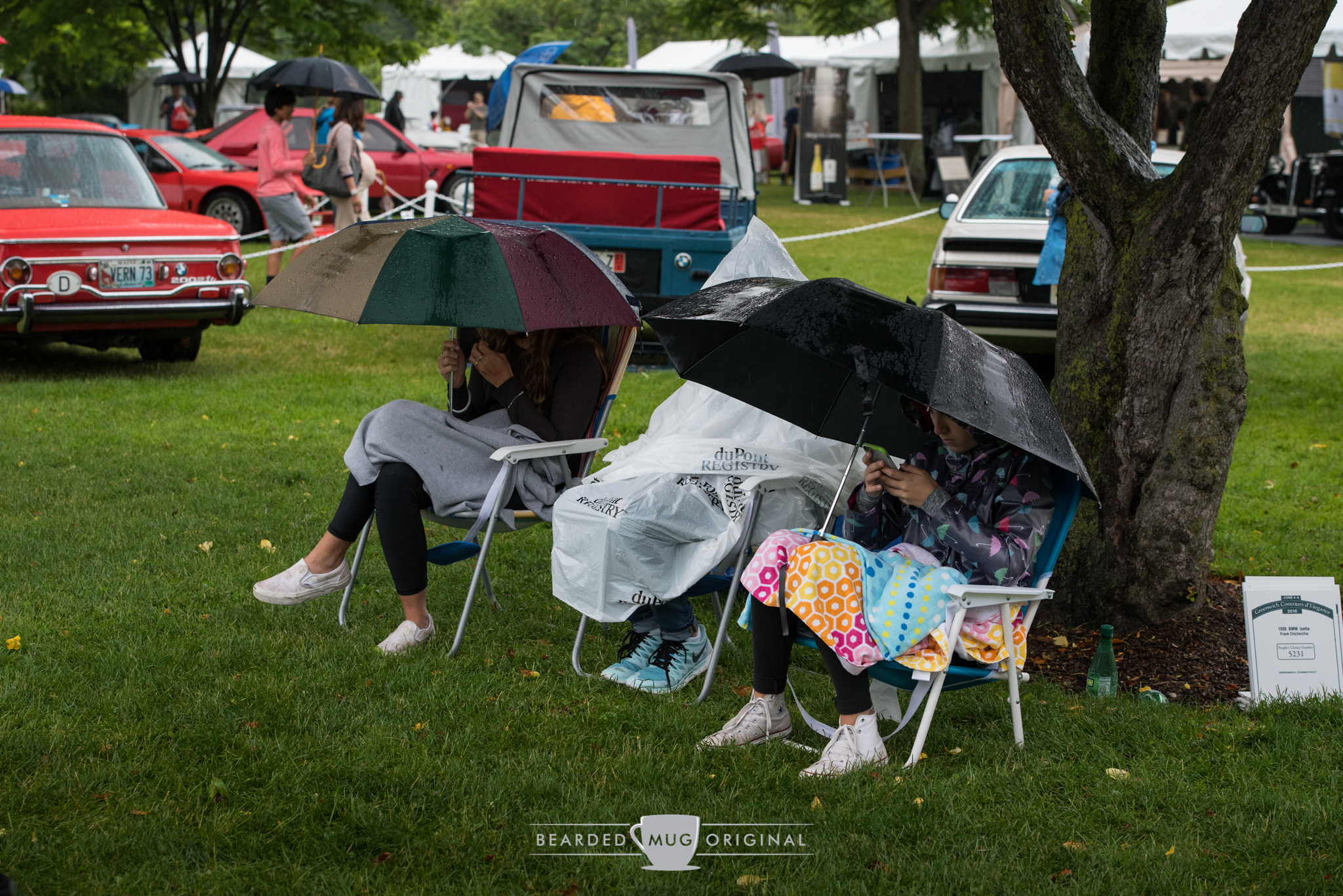 DSC_6508.jpg