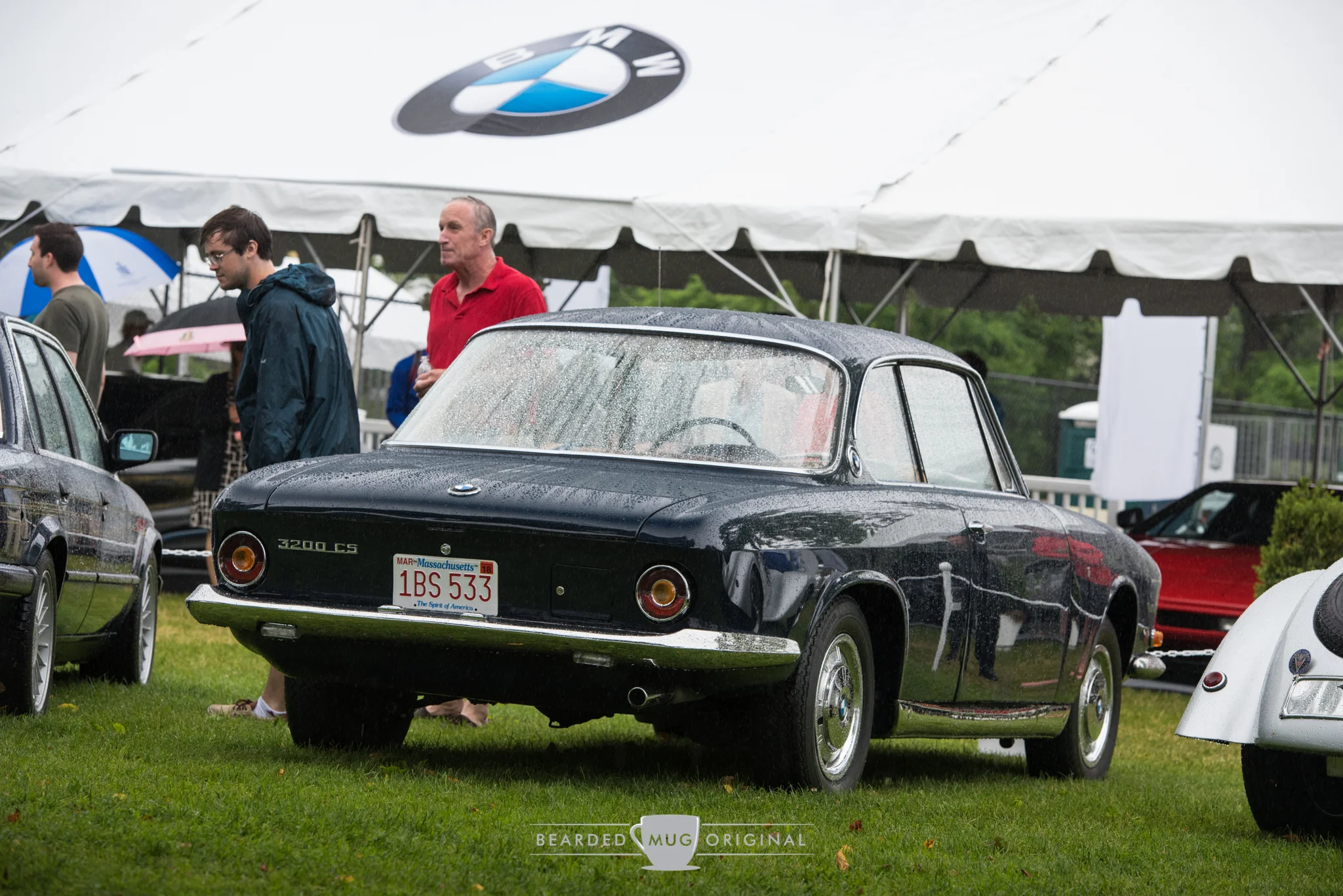 DSC_6513.jpg