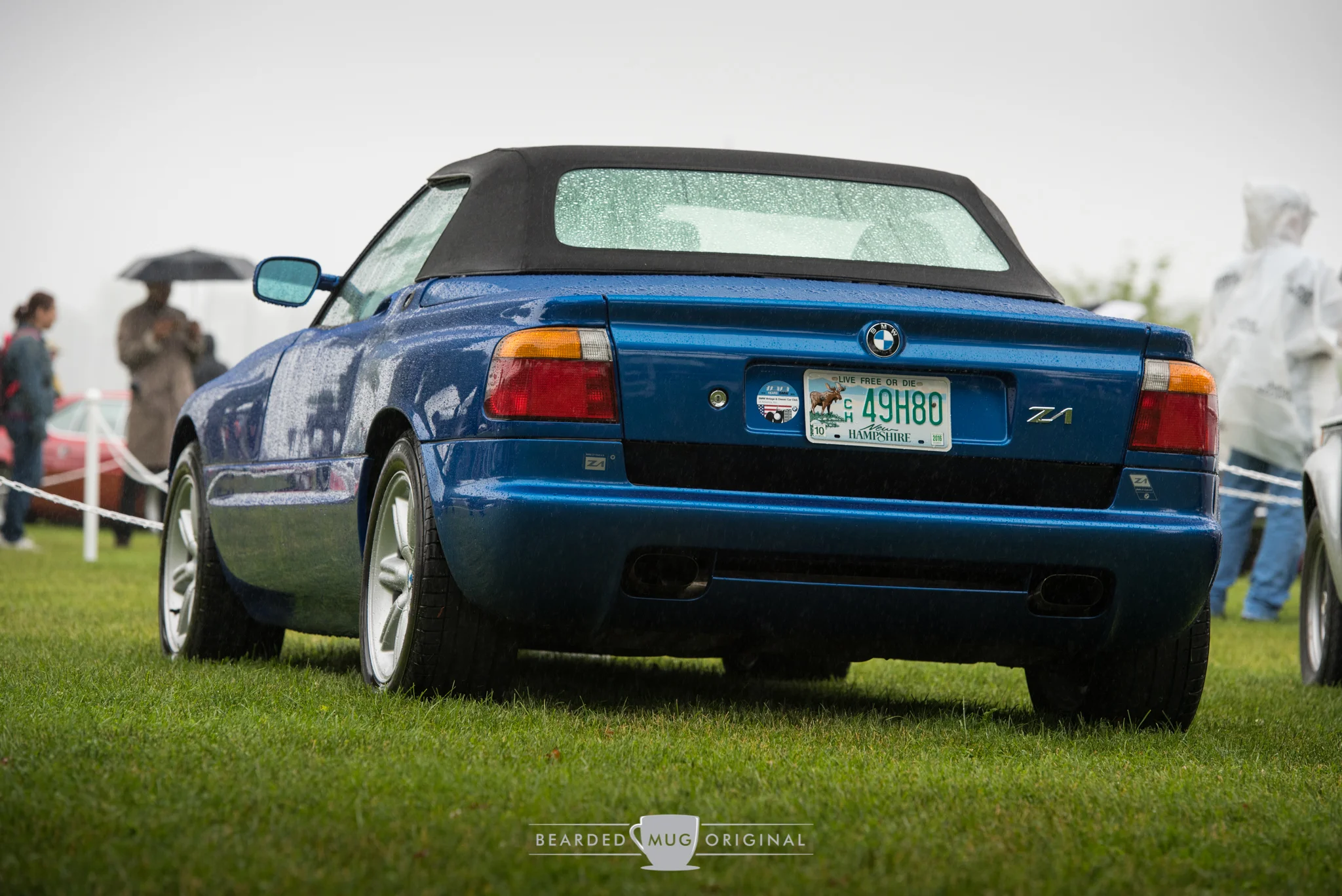 DSC_6530.jpg