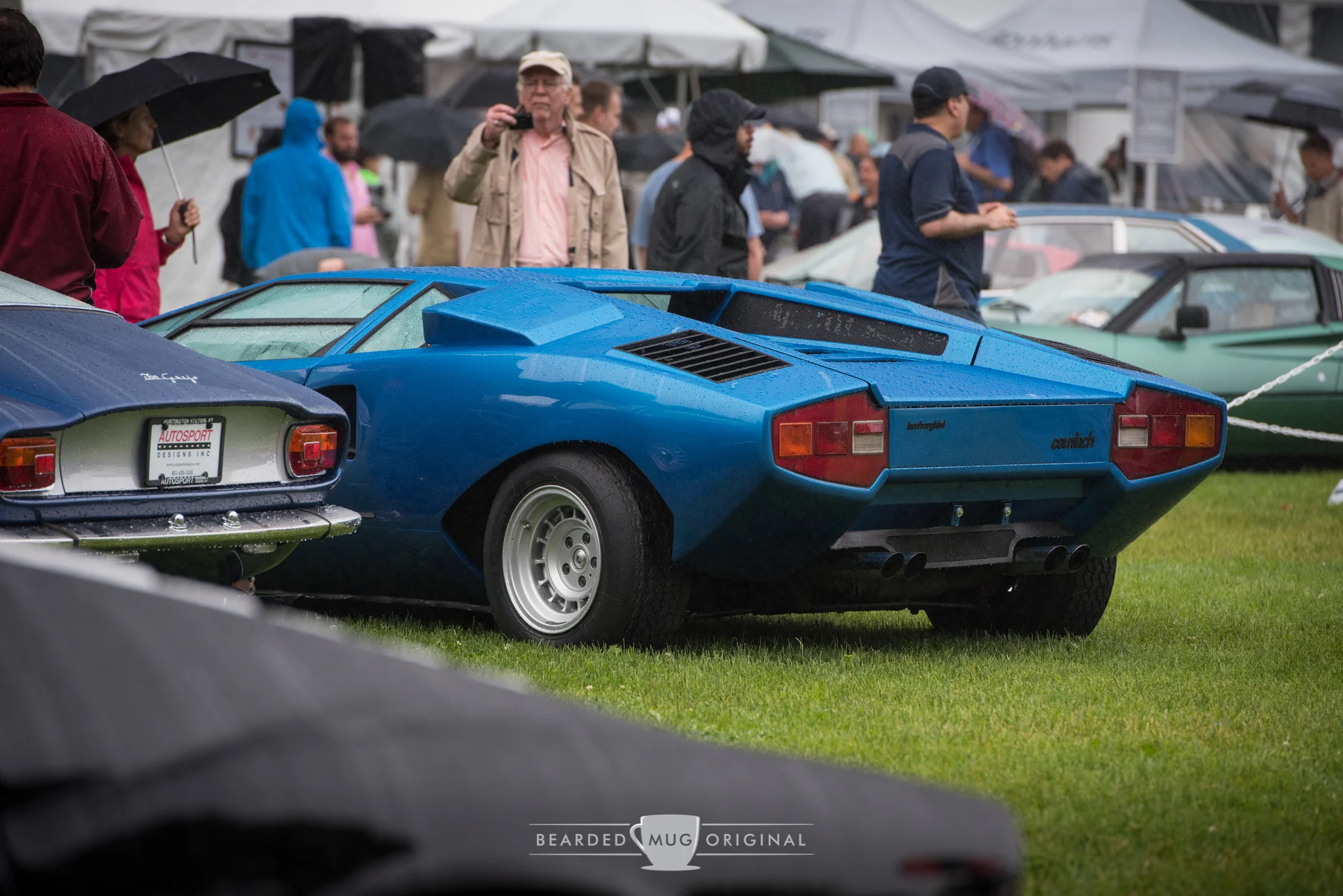 DSC_6536.jpg